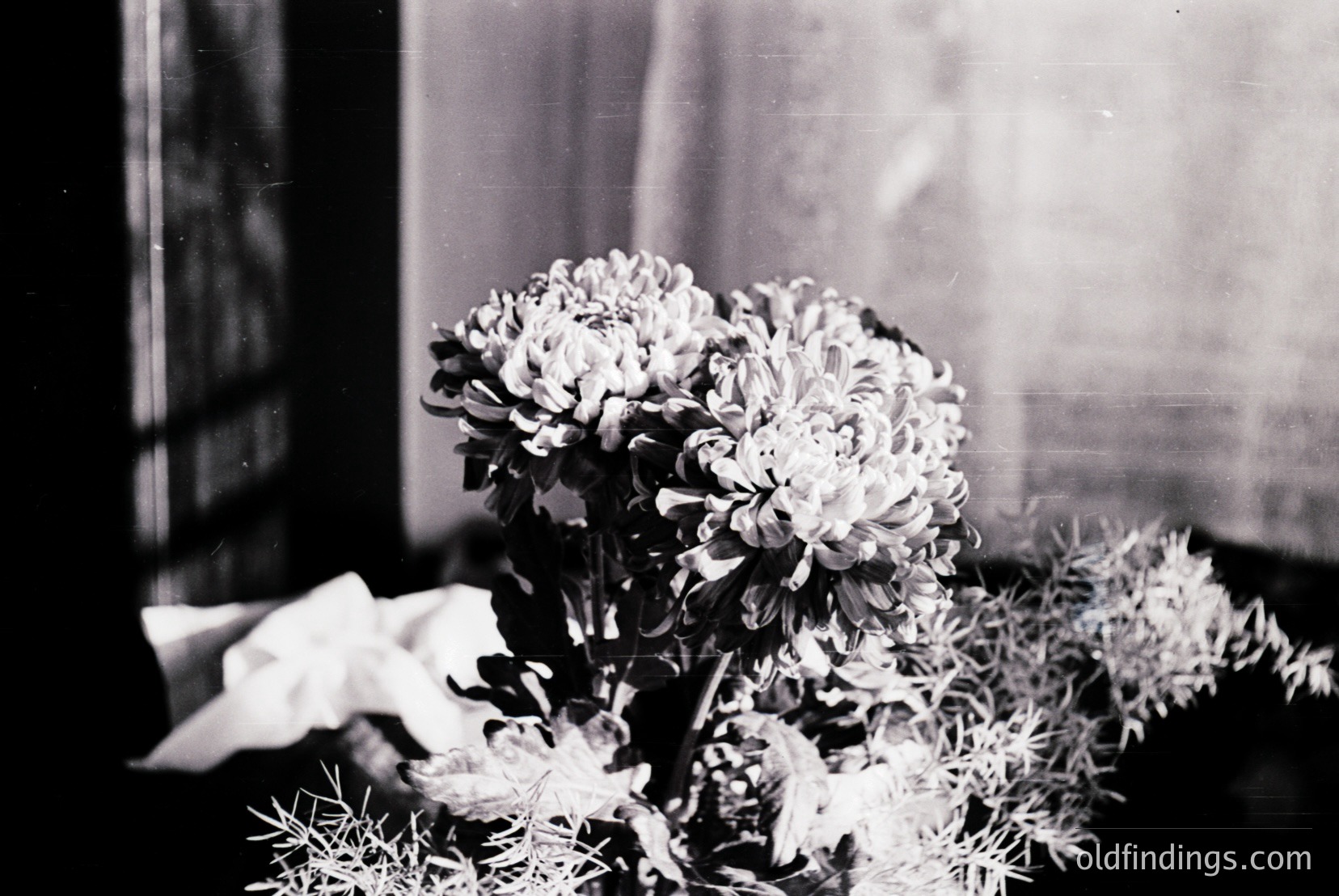 Vintage photograph