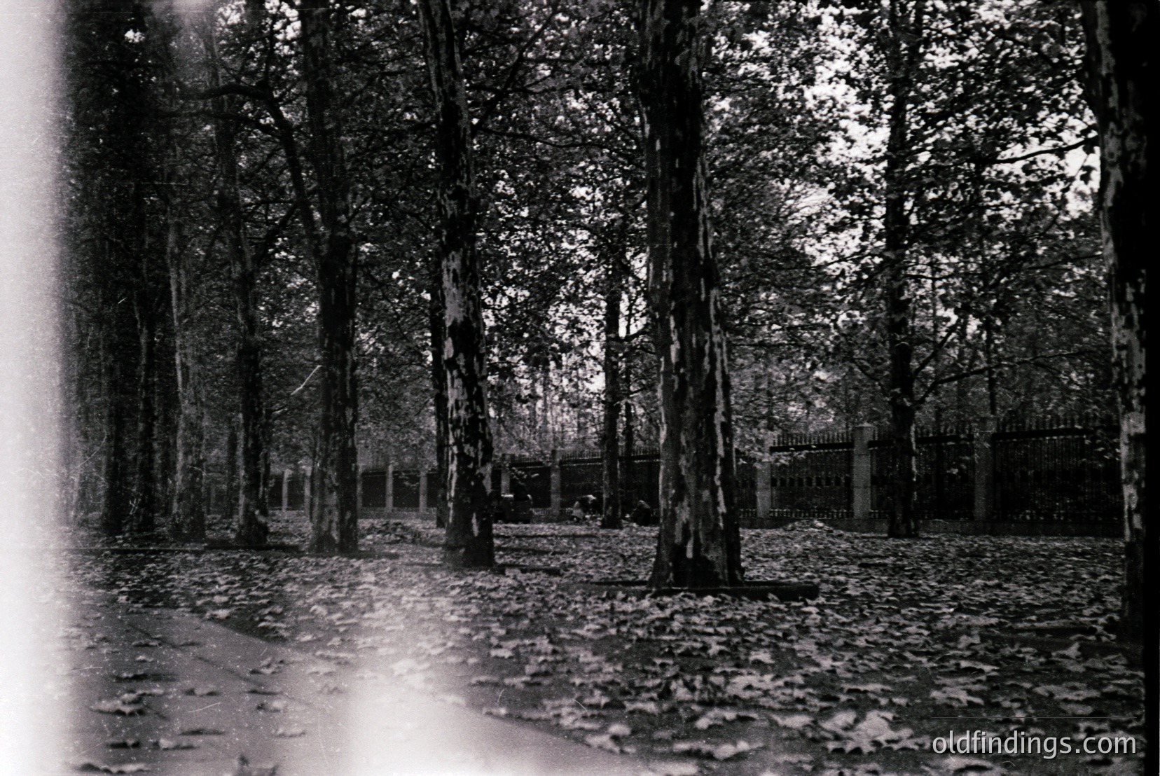 Vintage photograph