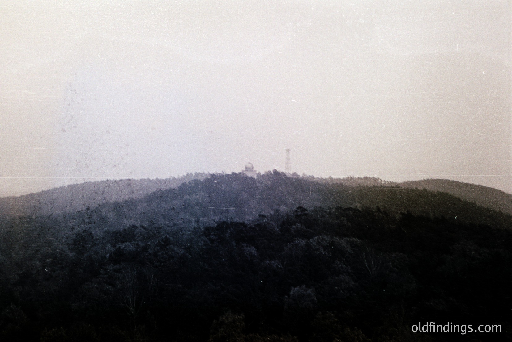 Vintage photograph