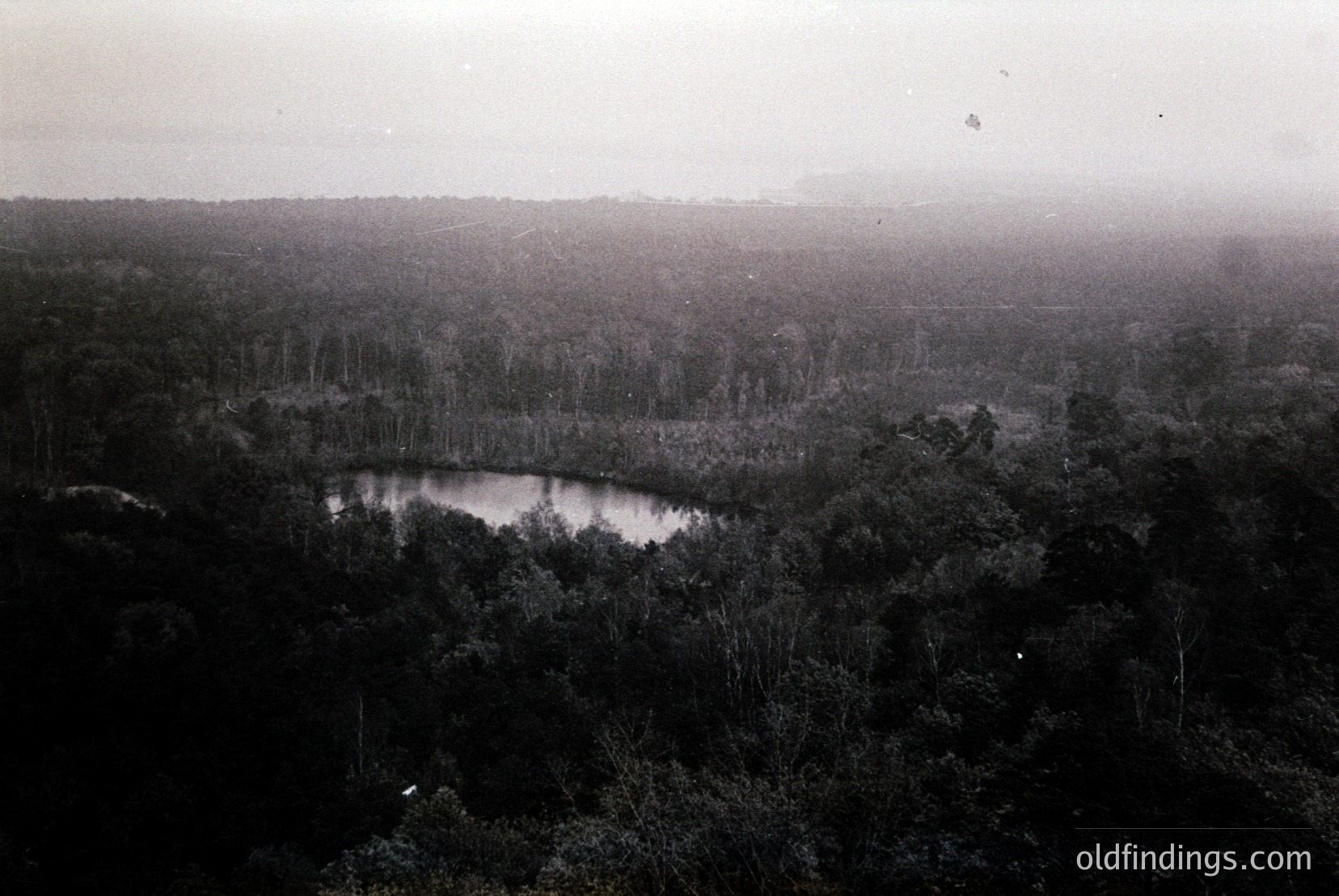 Vintage photograph