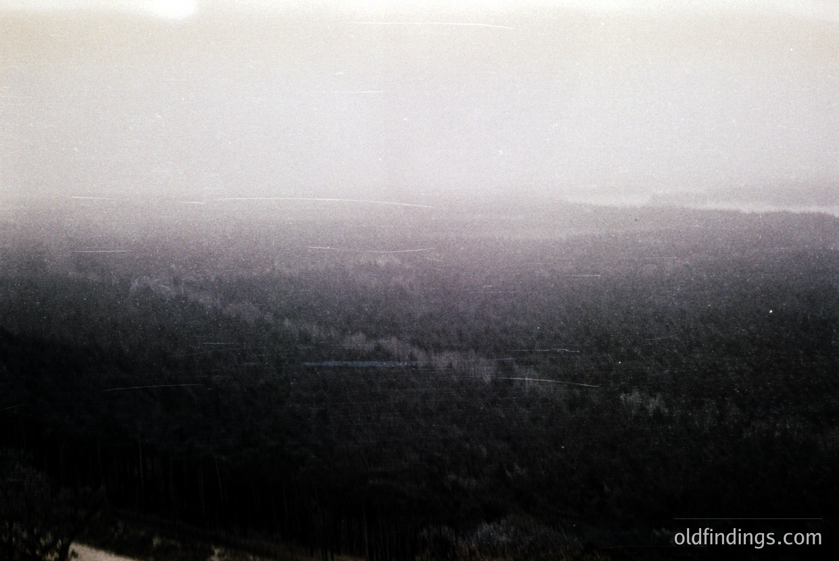 Vintage photograph