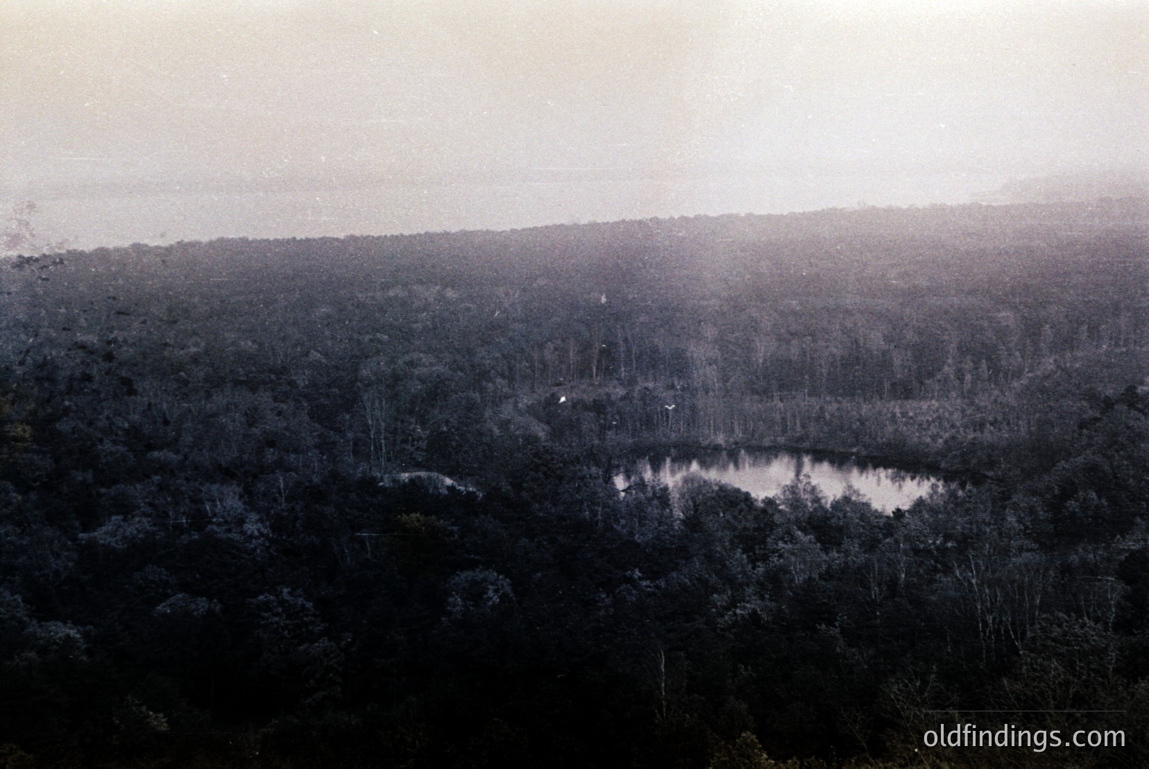 Vintage photograph
