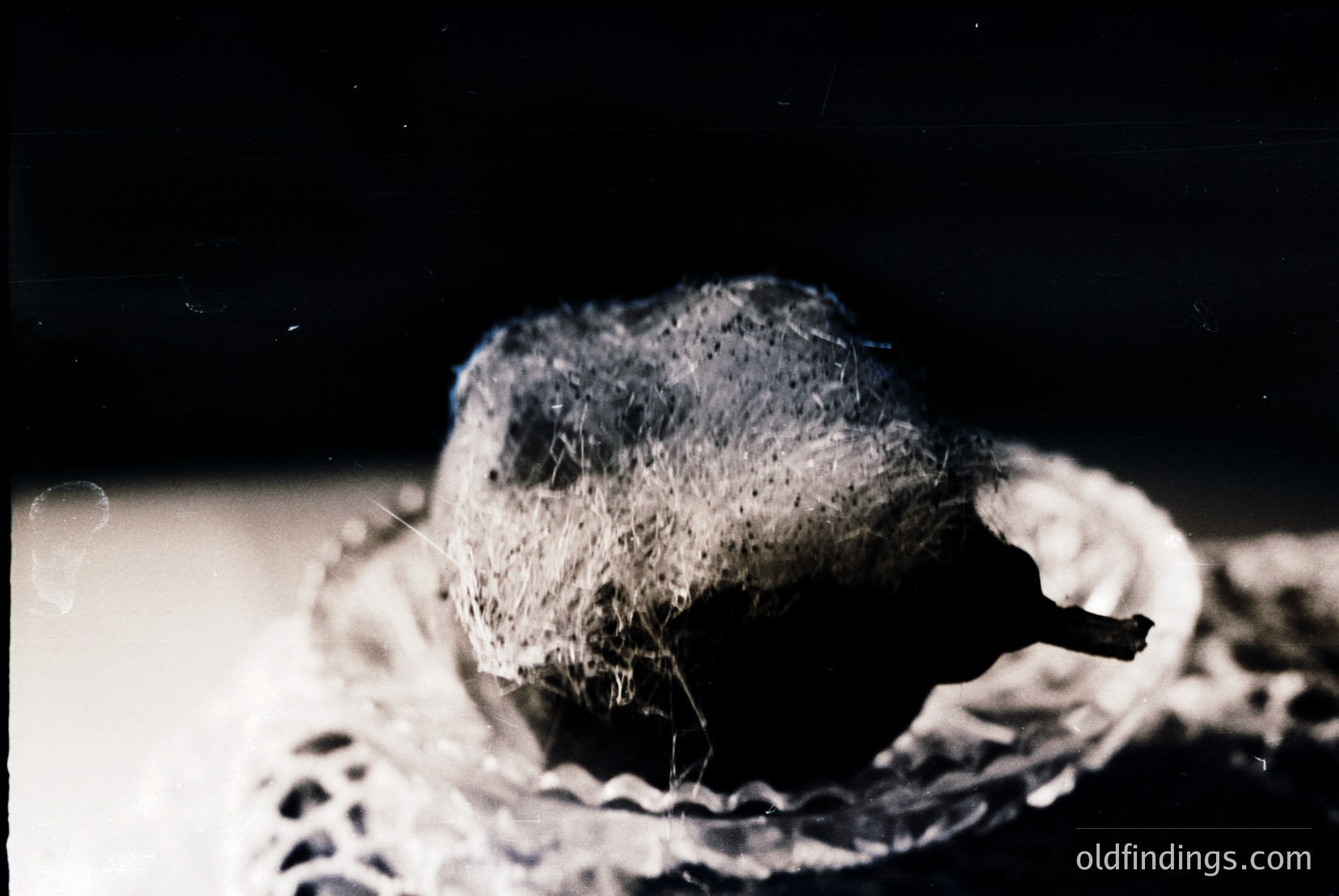 Vintage photograph