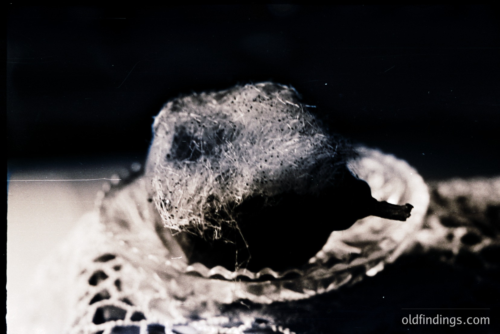 Vintage photograph