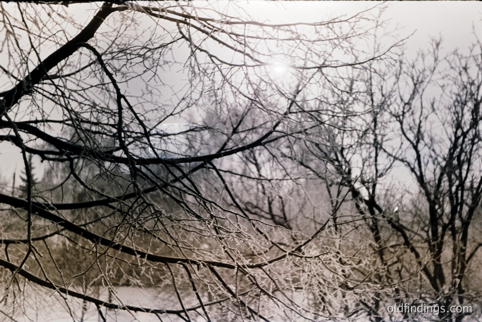 Vintage photograph