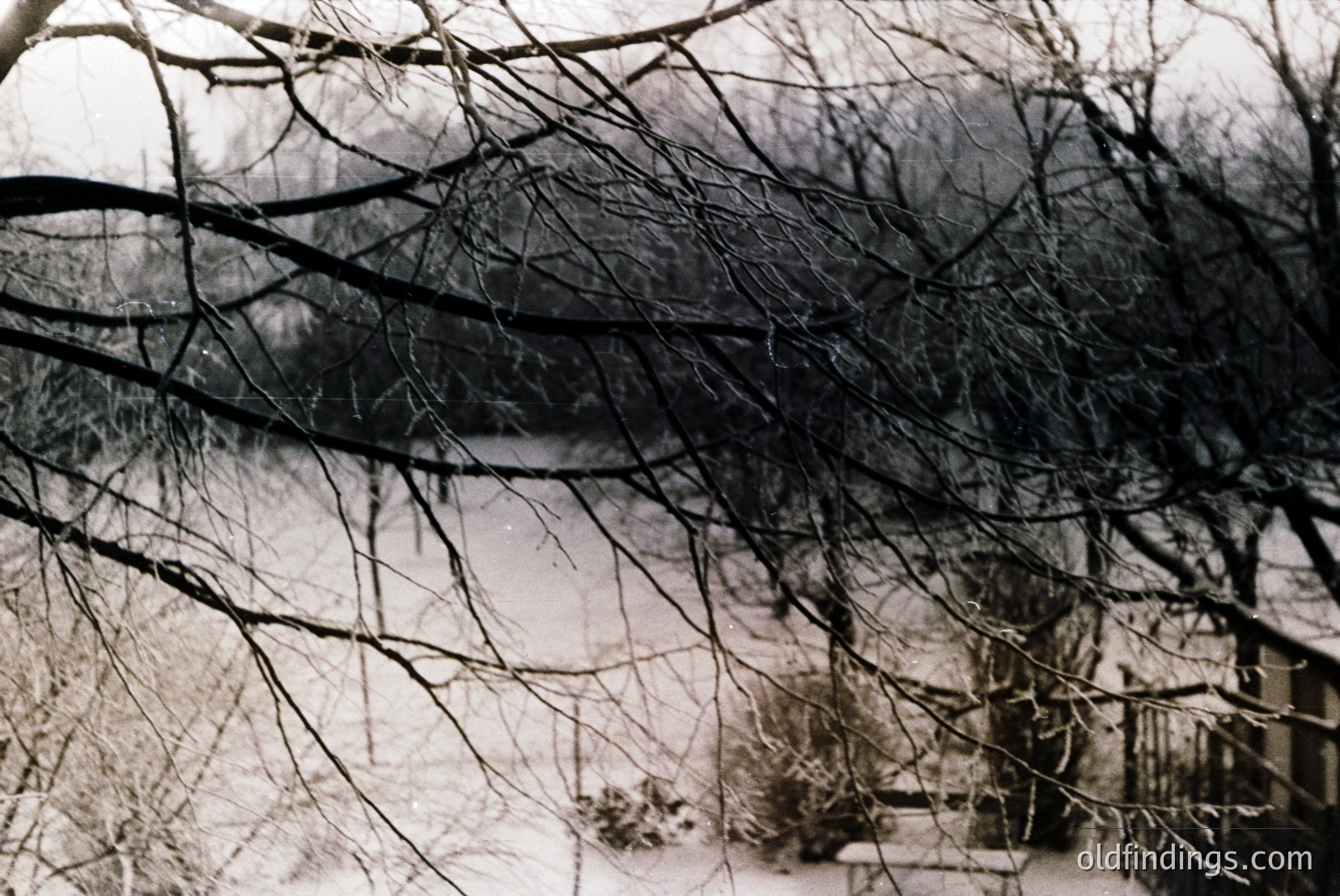 Vintage photograph
