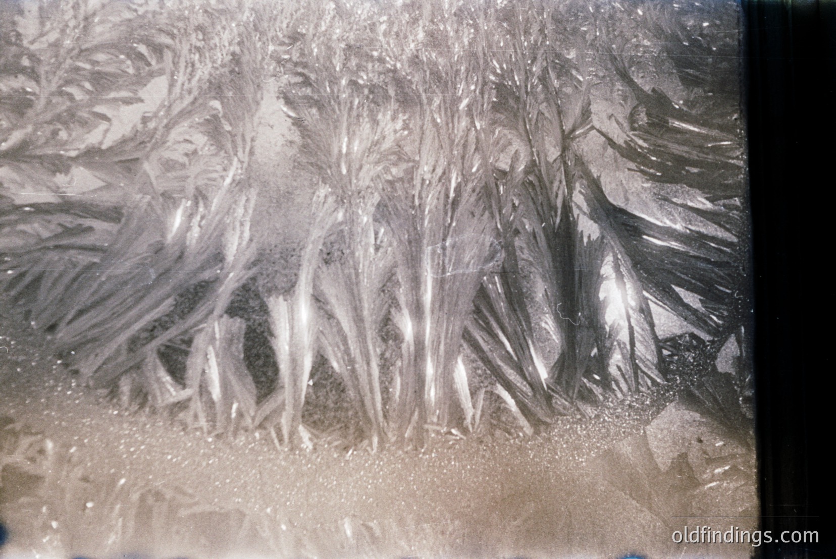 Vintage photograph
