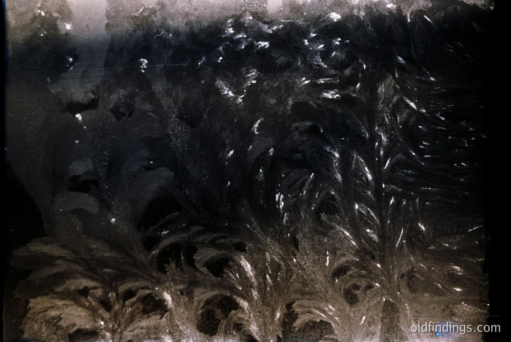 Vintage photograph