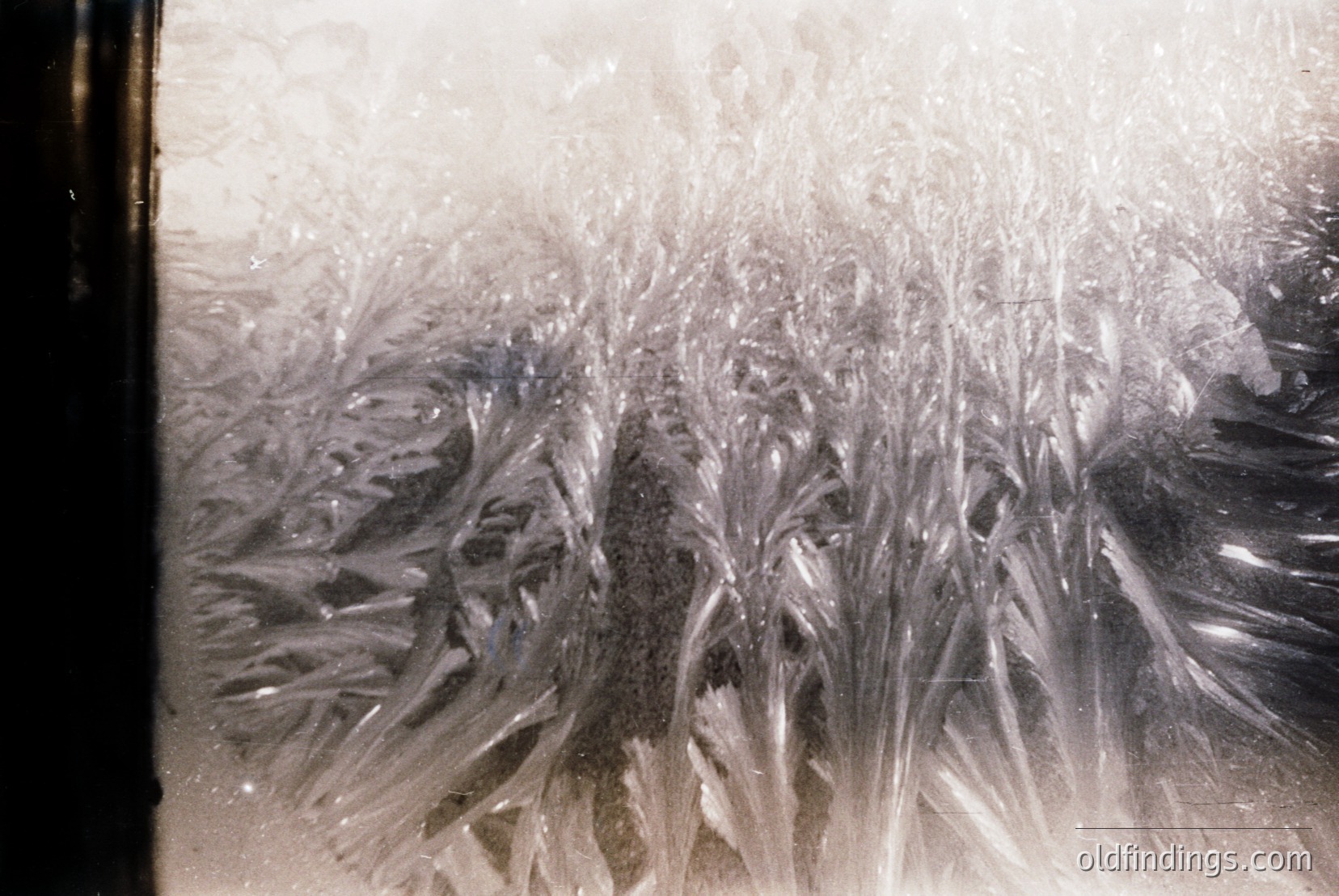 Vintage photograph