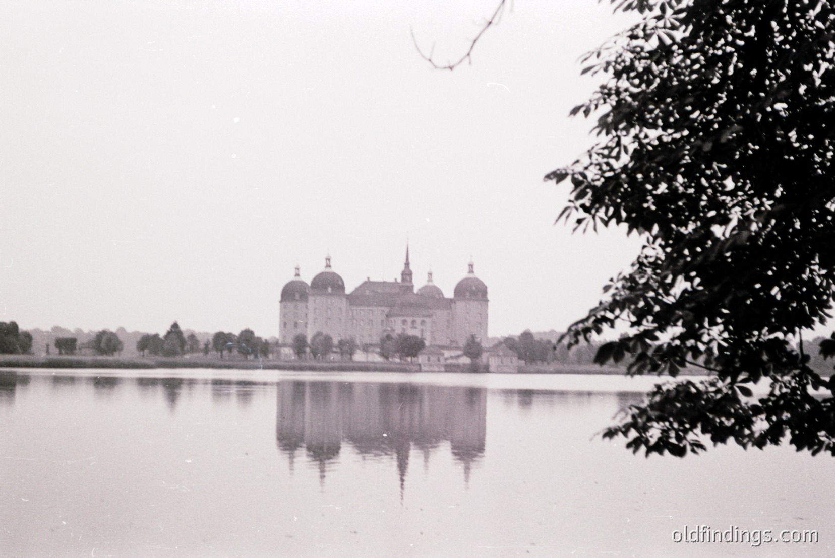 Vintage photograph
