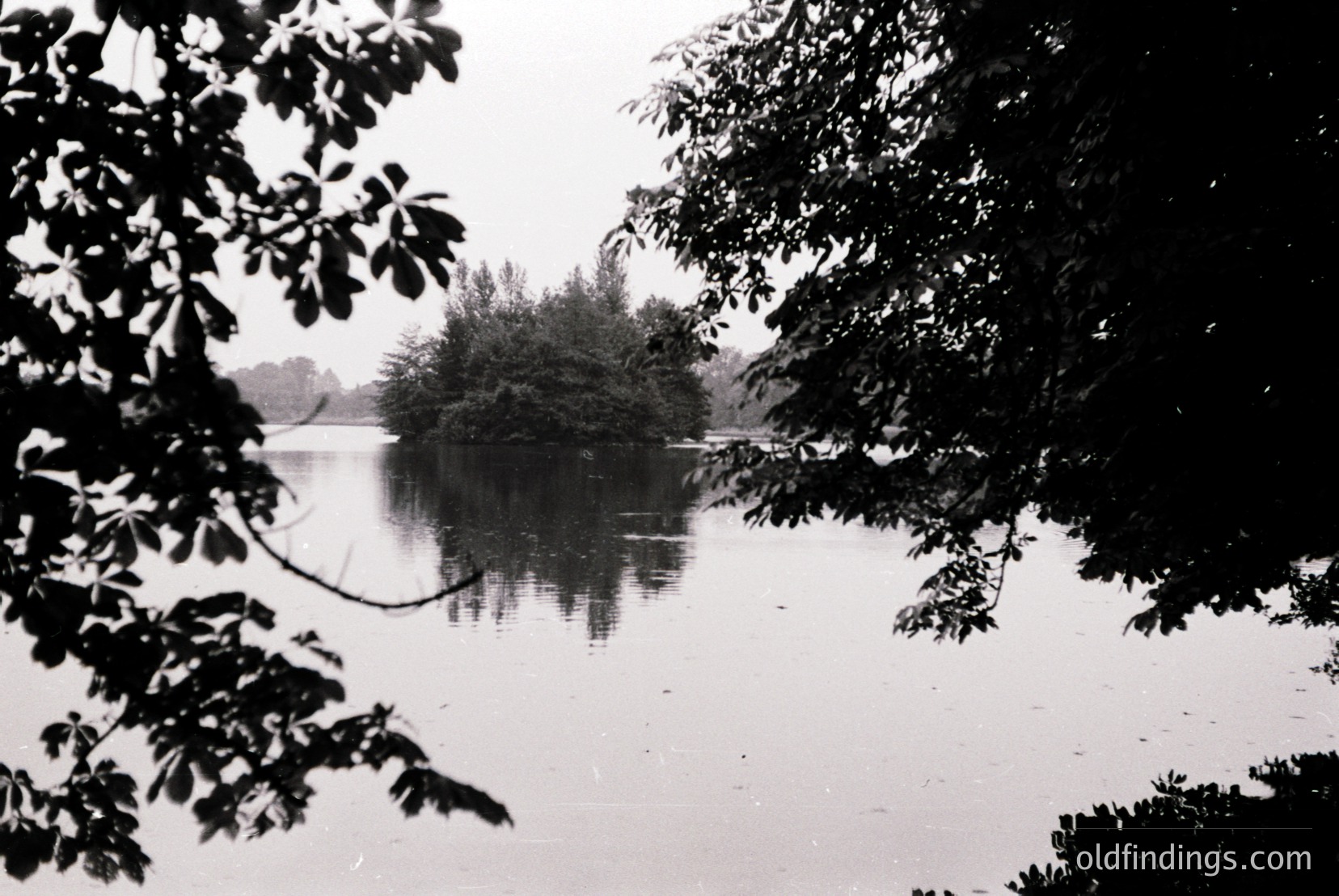 Vintage photograph