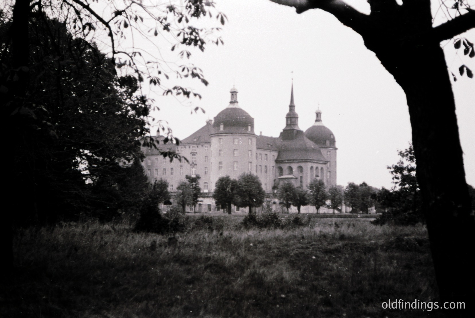 Vintage photograph