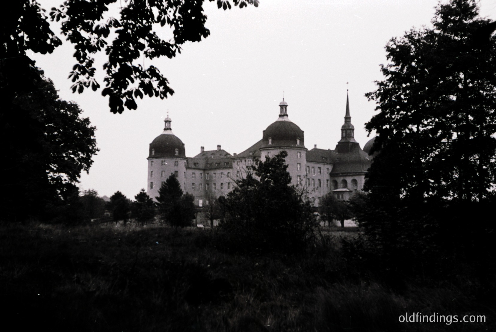 Vintage photograph
