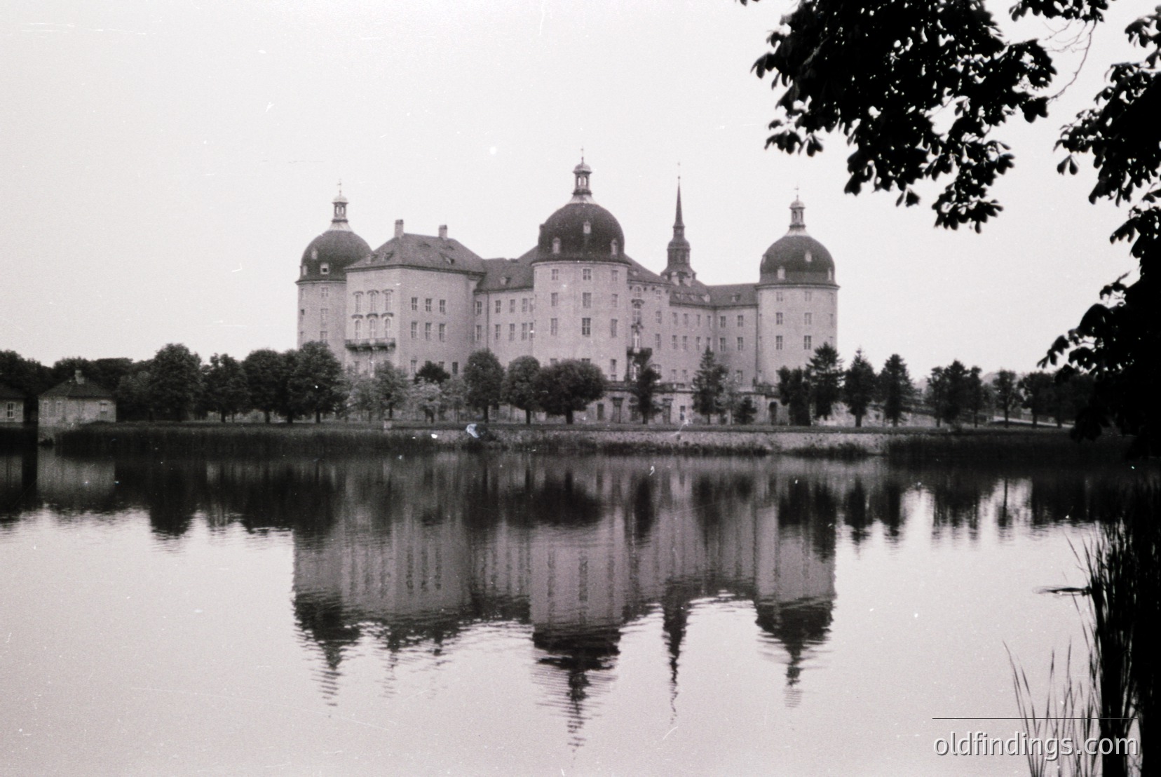 Vintage photograph
