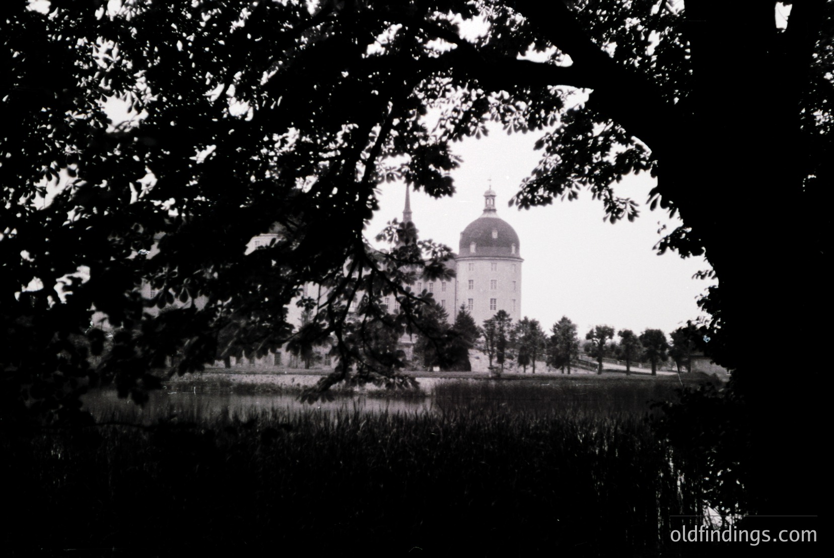 Vintage photograph