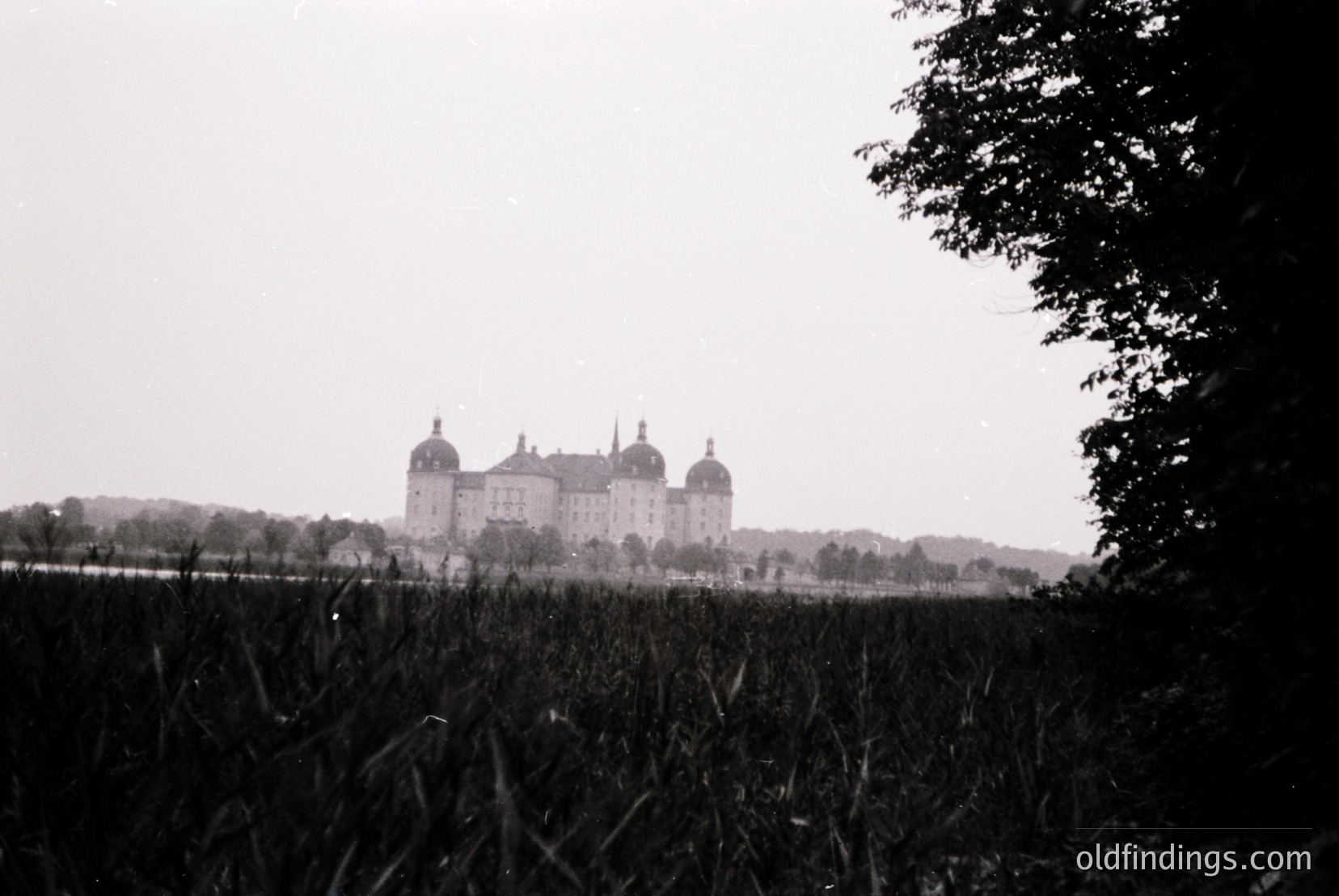 Vintage photograph