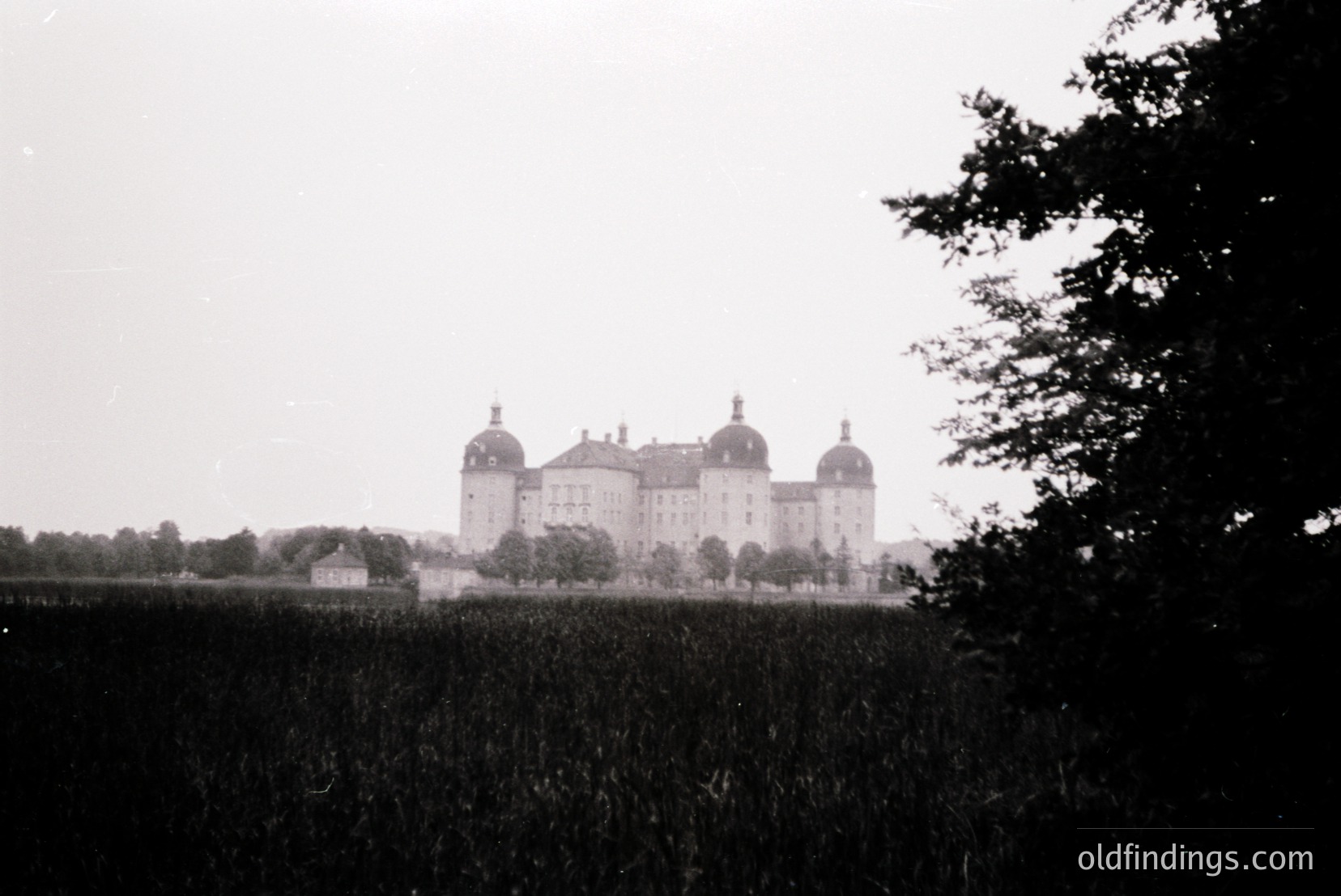 Vintage photograph