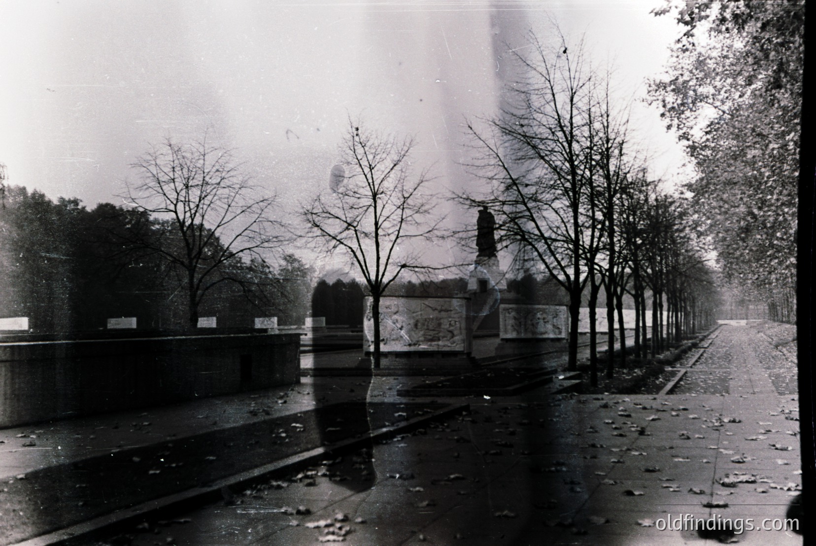 Vintage photograph