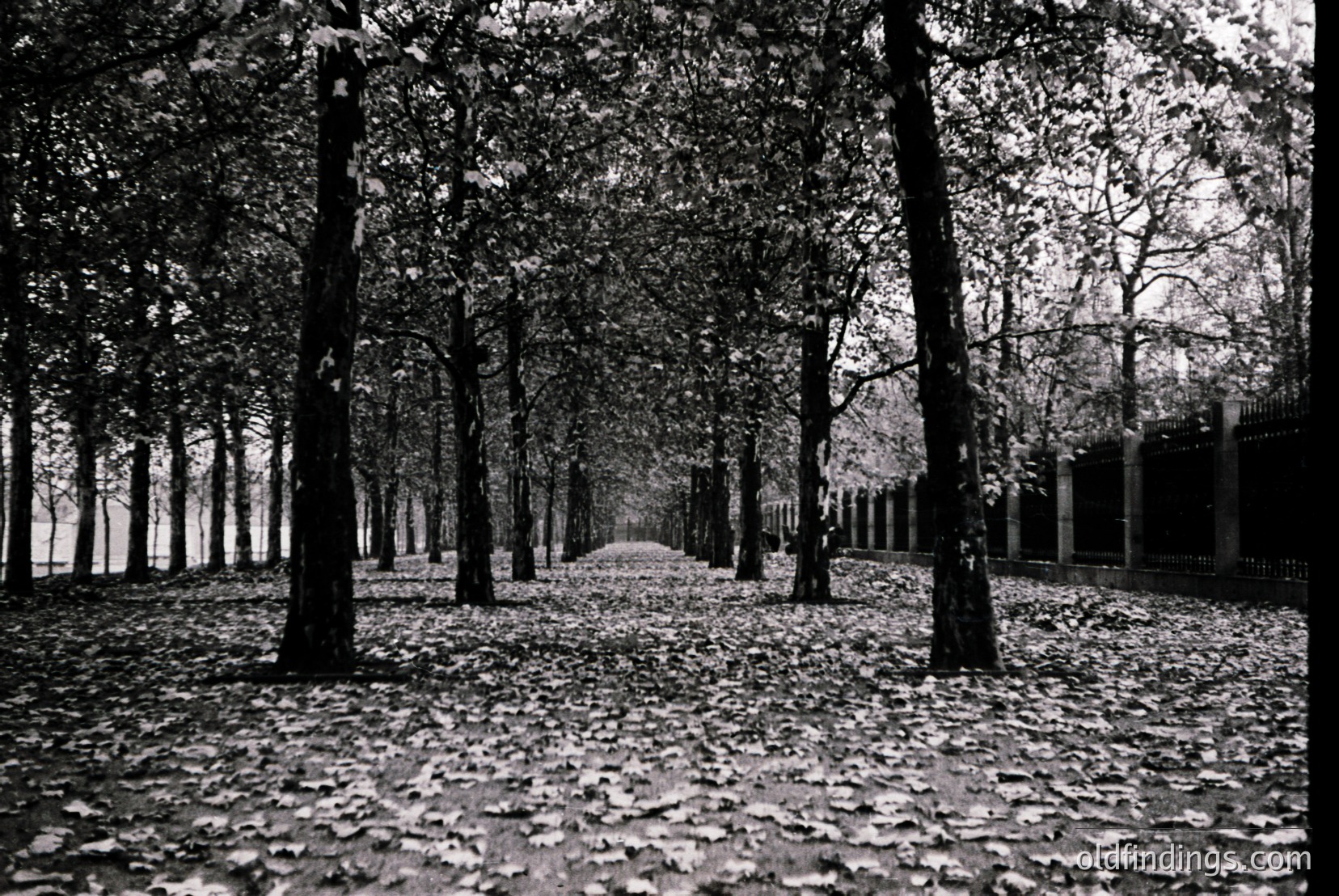 Vintage photograph