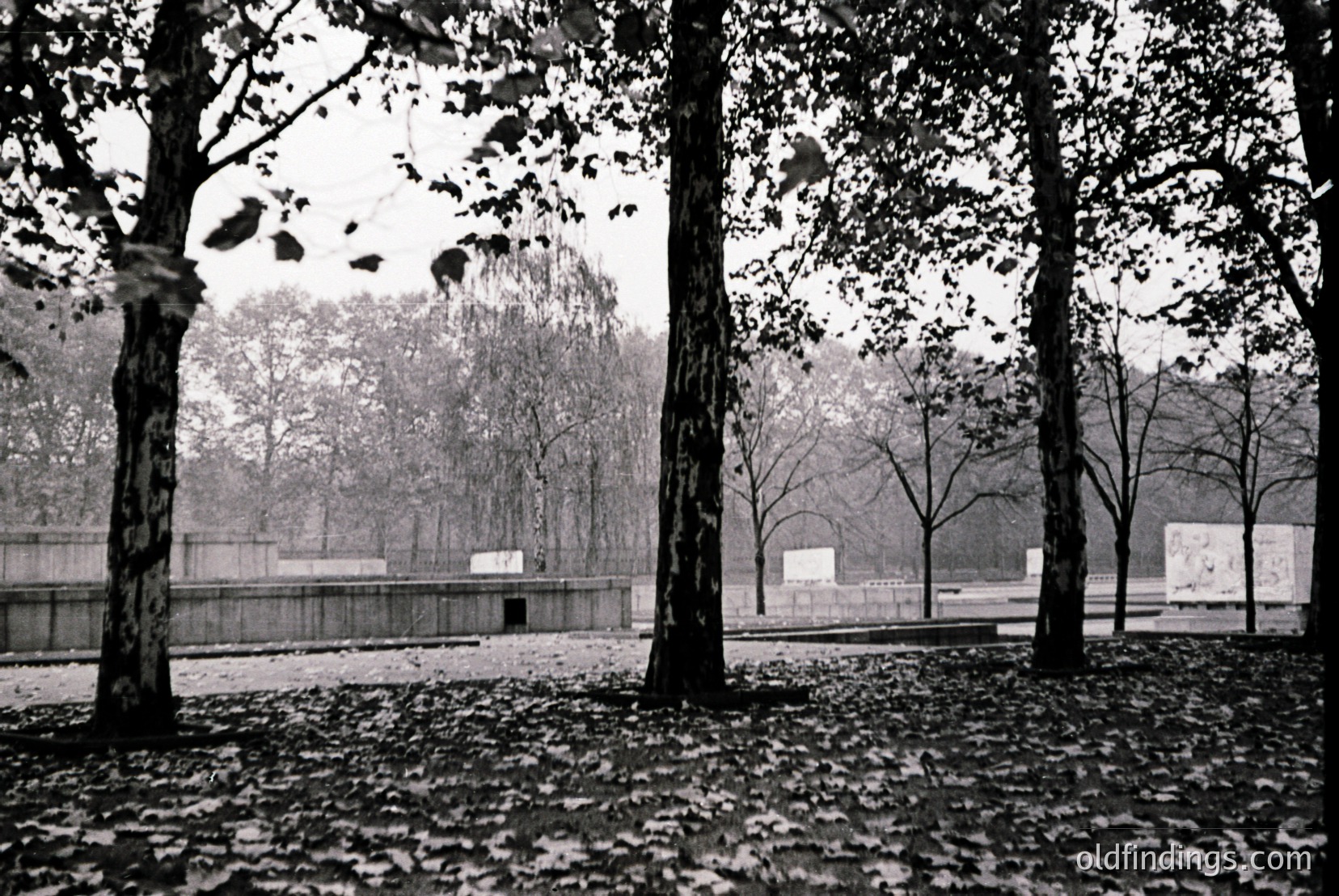 Vintage photograph
