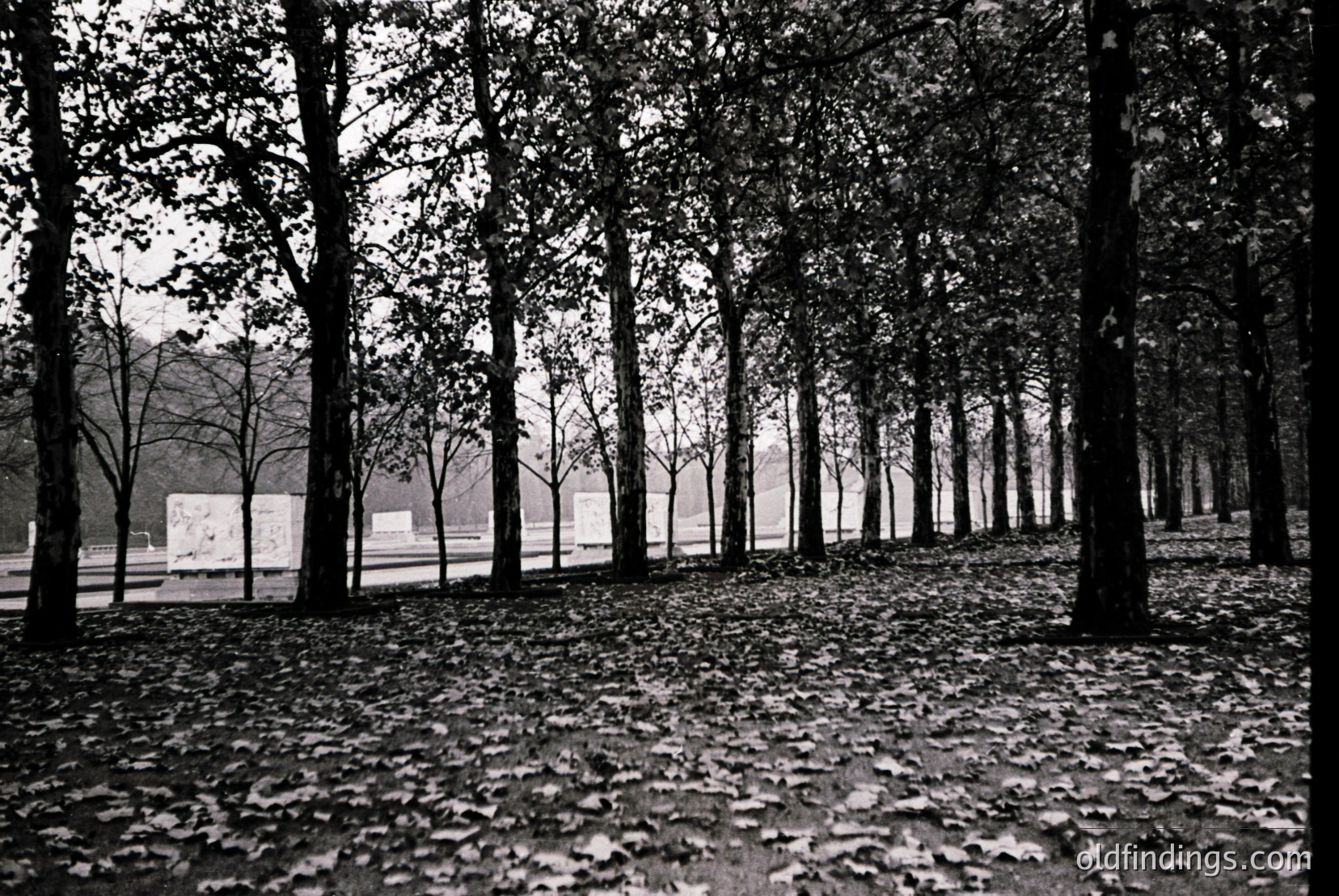 Vintage photograph