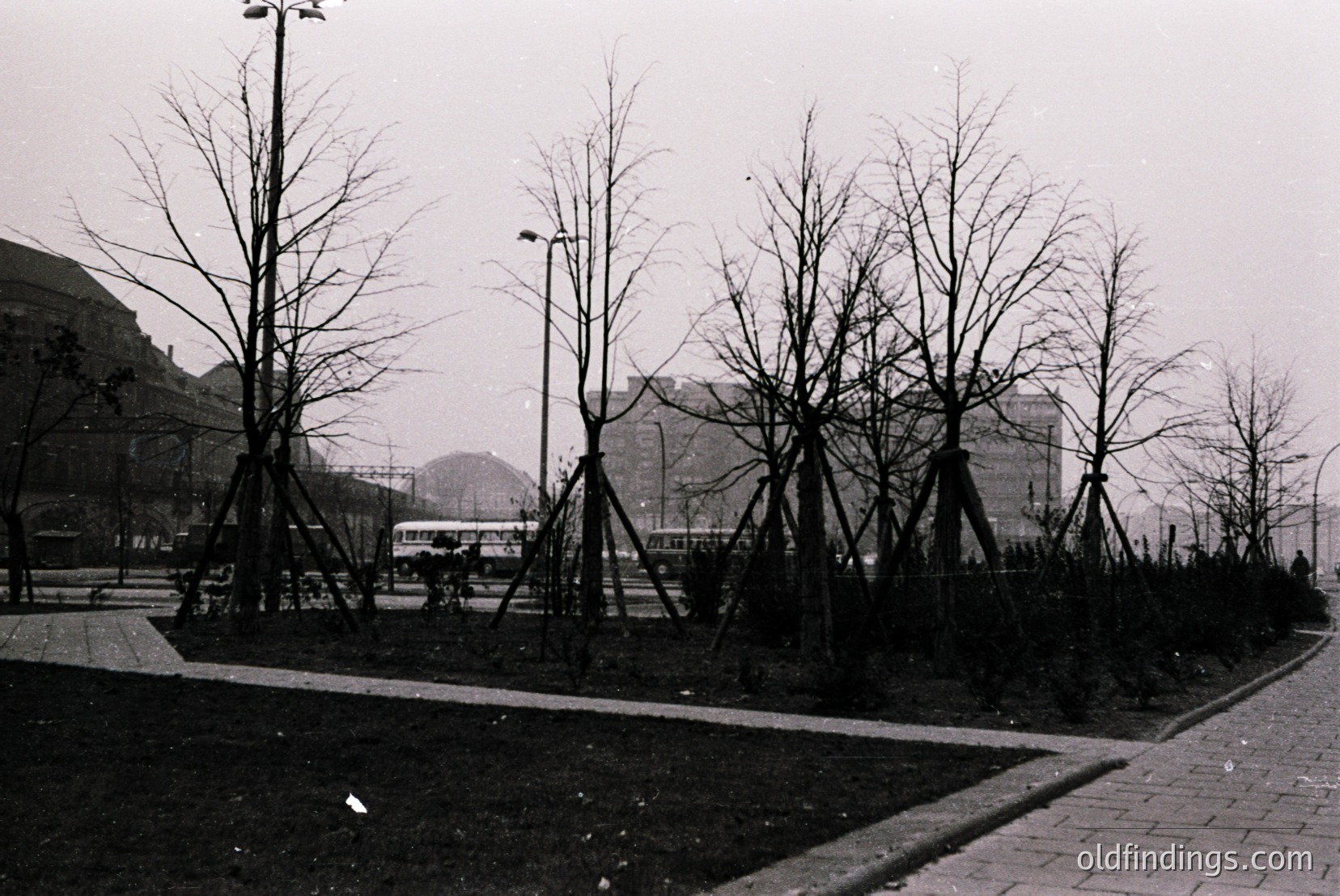 Vintage photograph