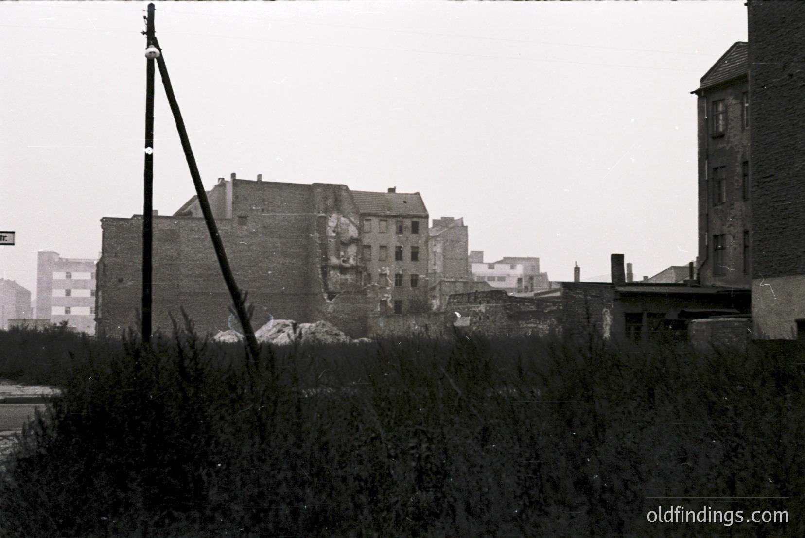 Vintage photograph
