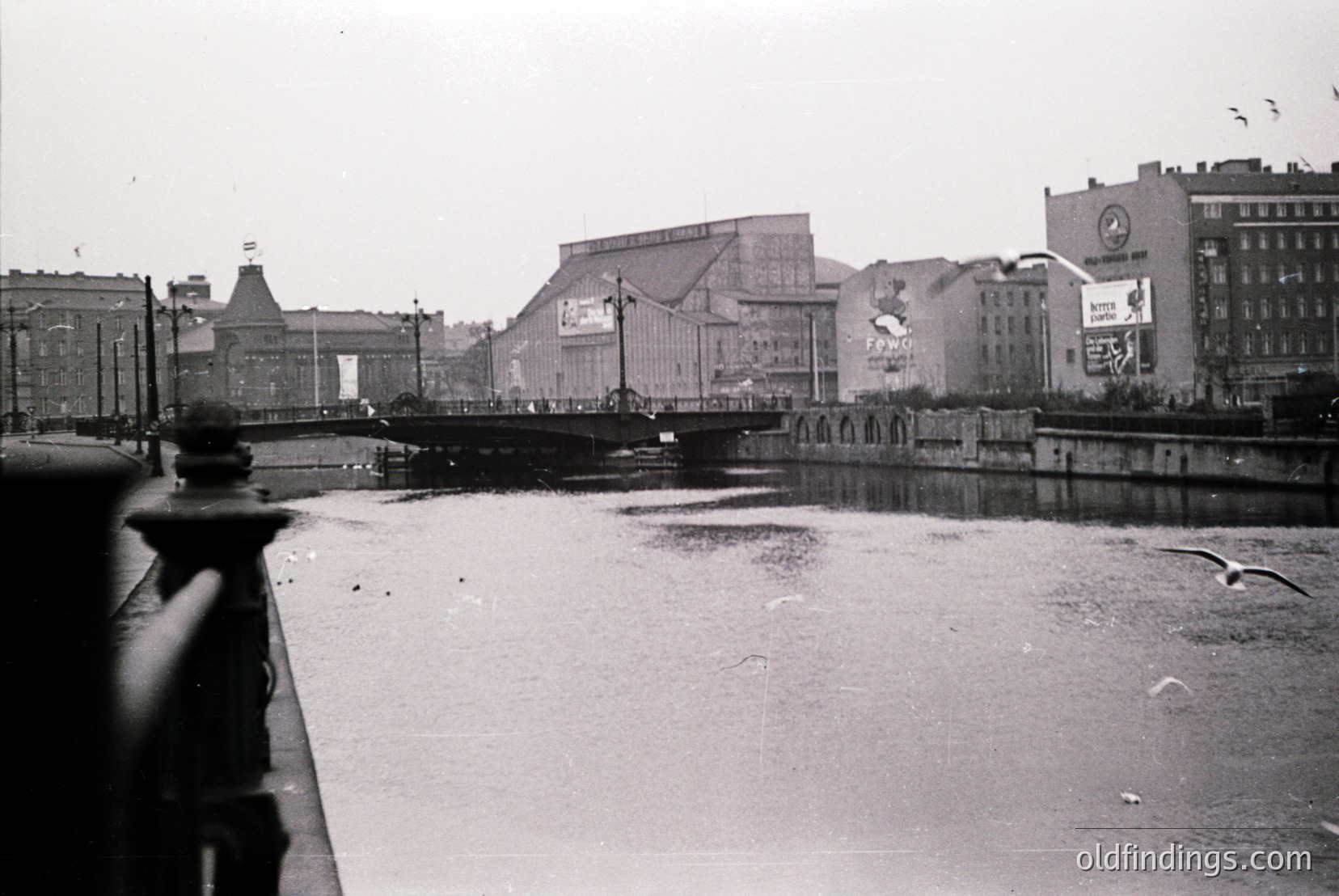 Vintage photograph
