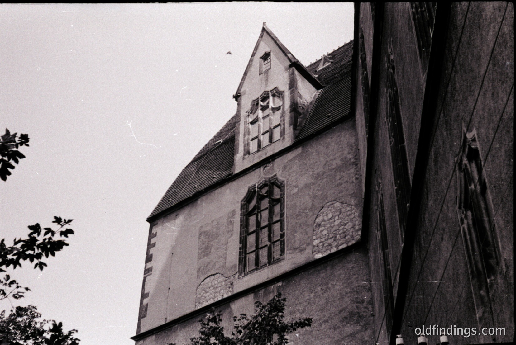 Vintage photograph