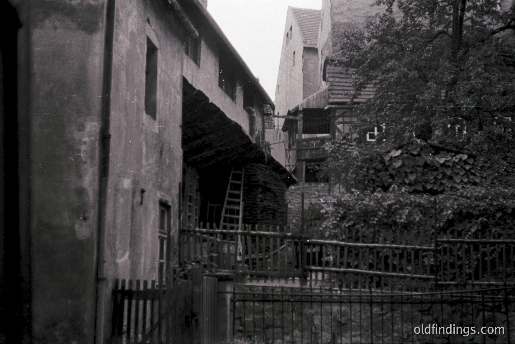 Vintage photograph