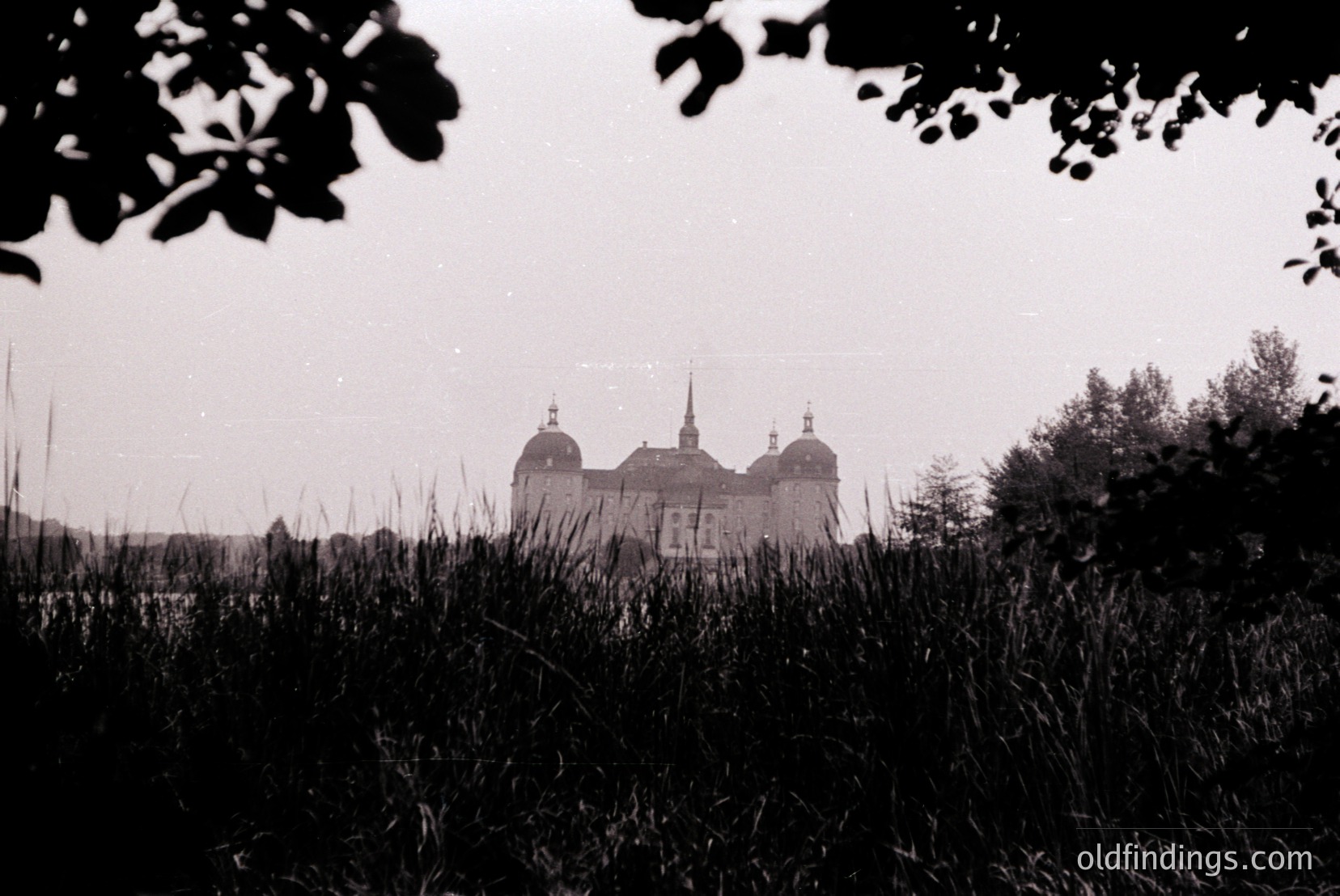 Vintage photograph