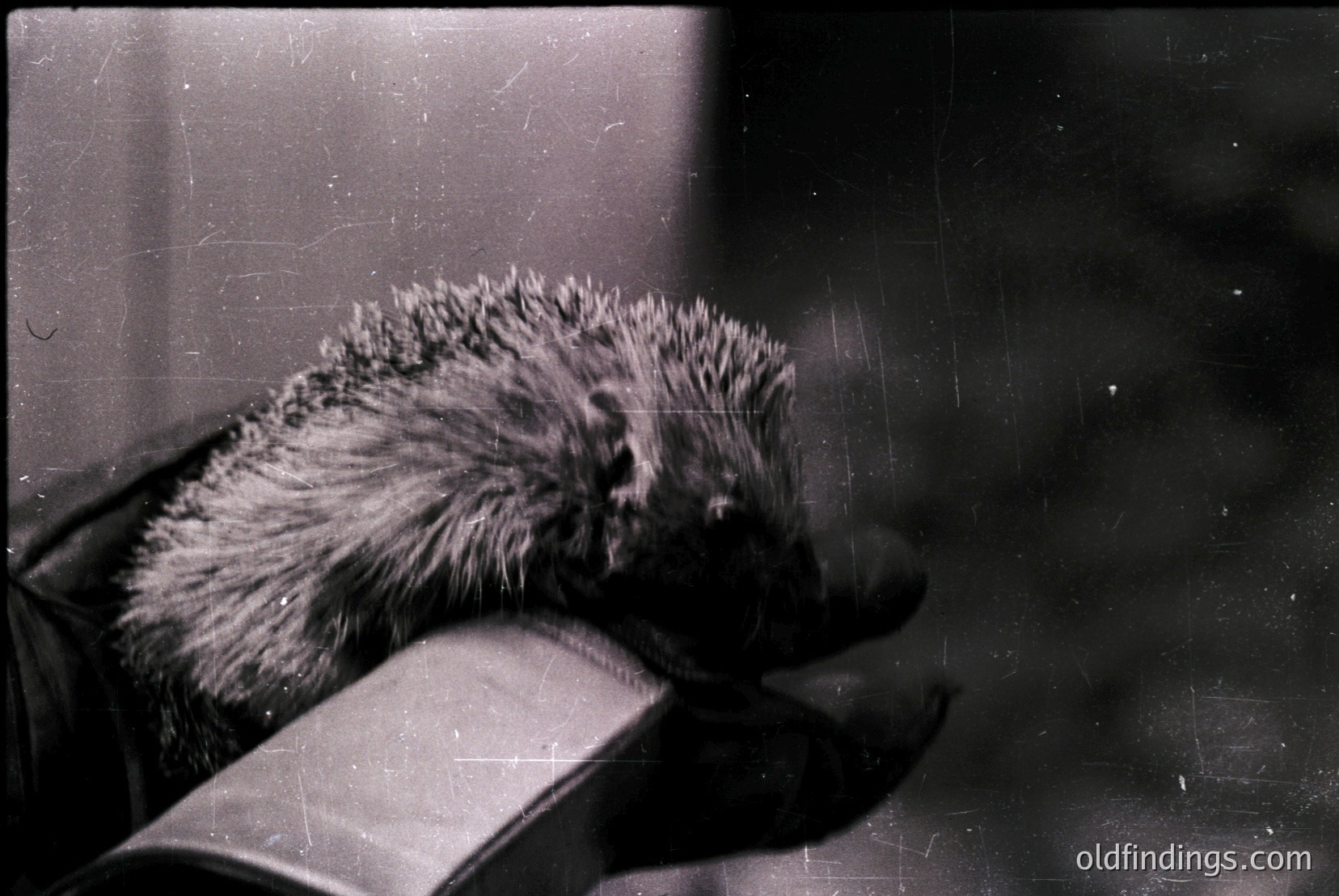 Vintage photograph