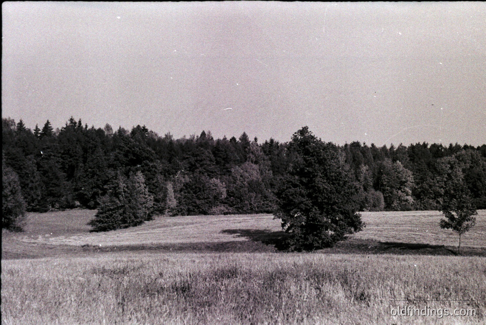 Vintage photograph