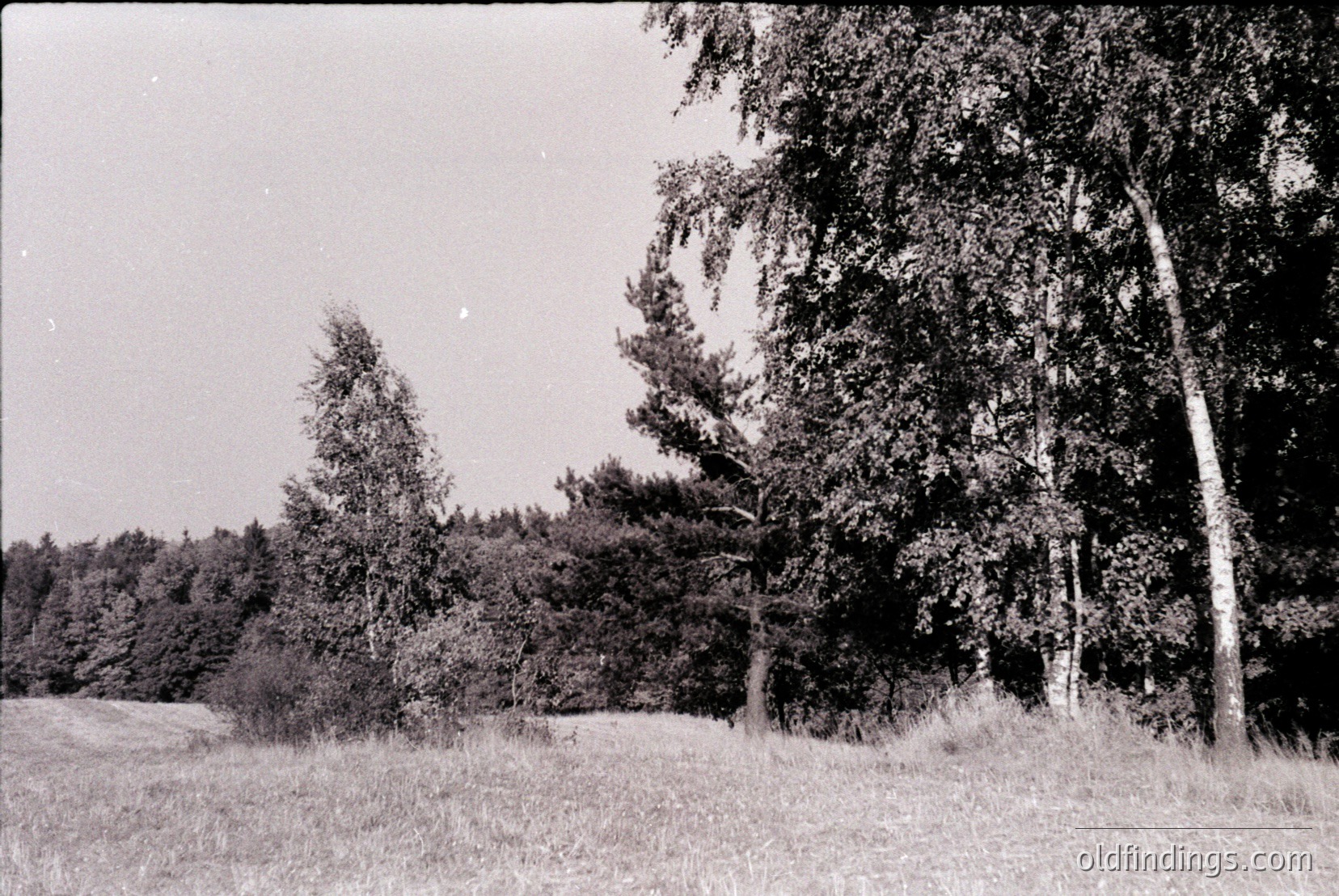 Vintage photograph