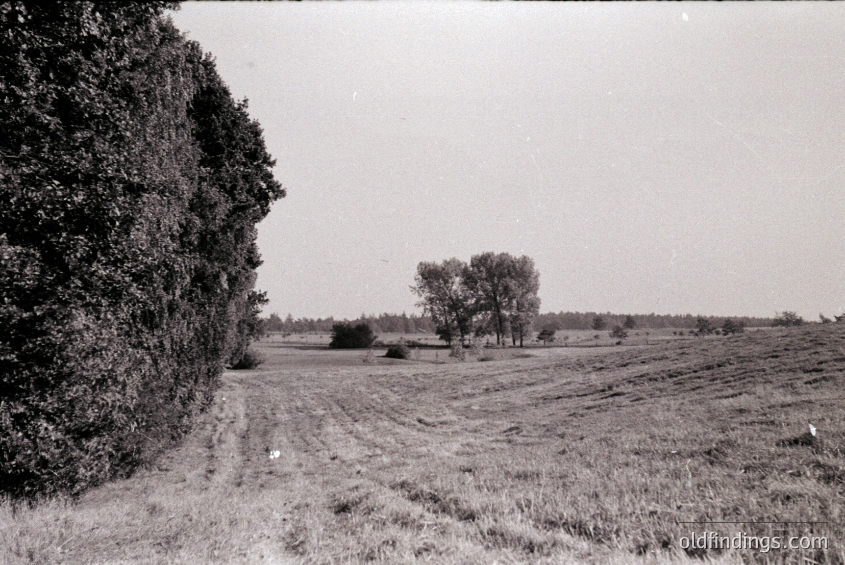Vintage photograph
