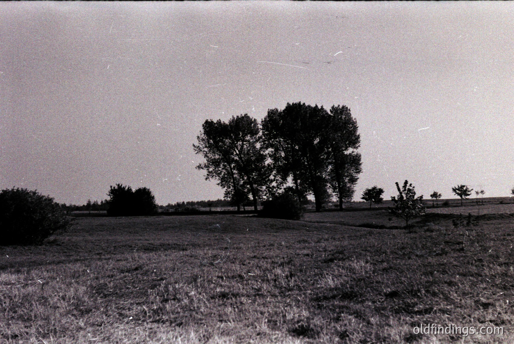 Vintage photograph