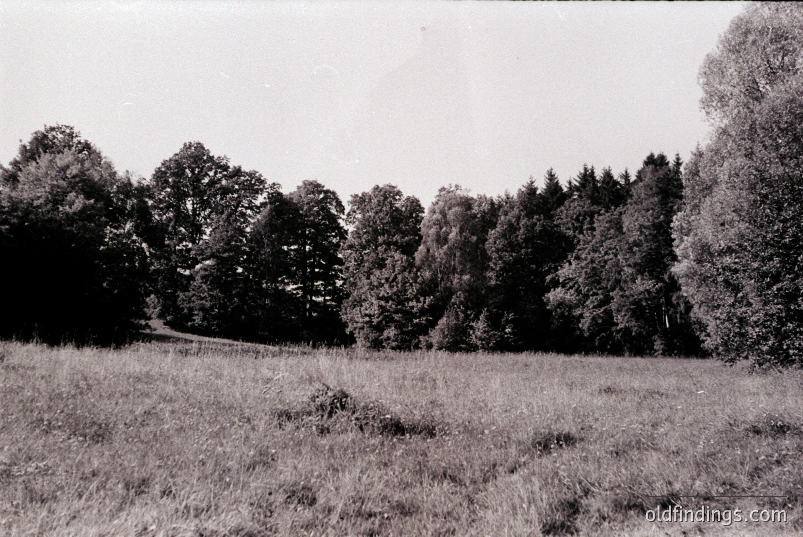 Vintage photograph