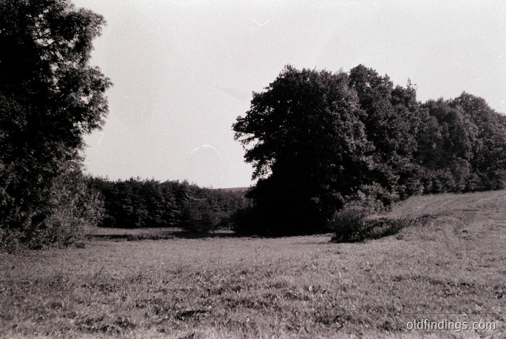 Vintage photograph
