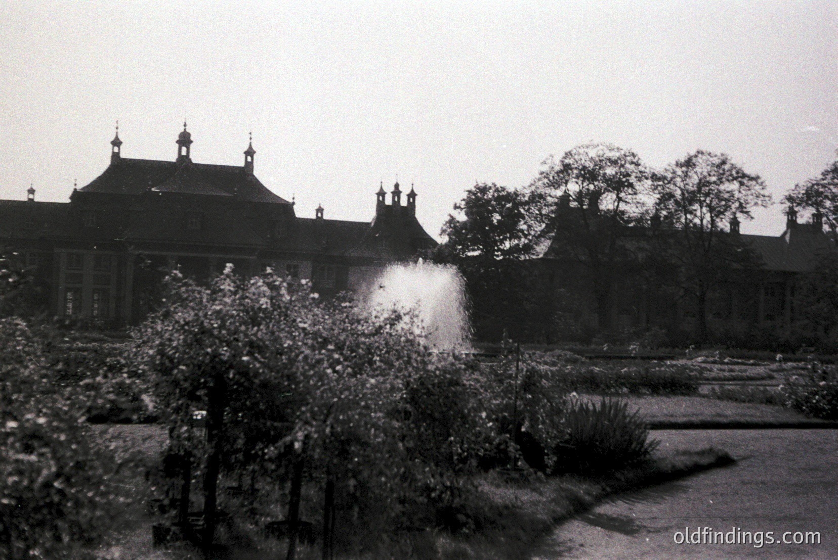 Vintage photograph