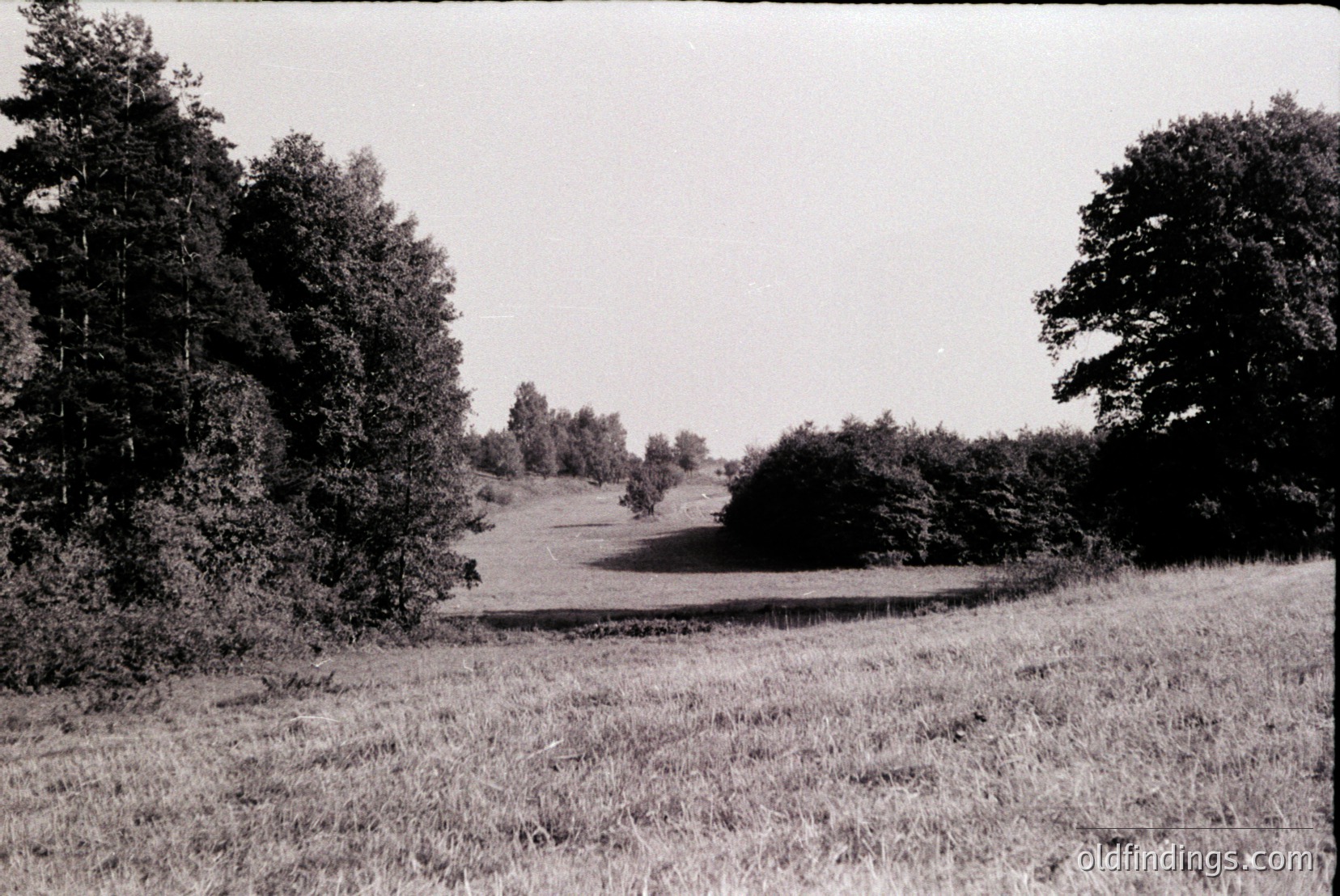 Vintage photograph