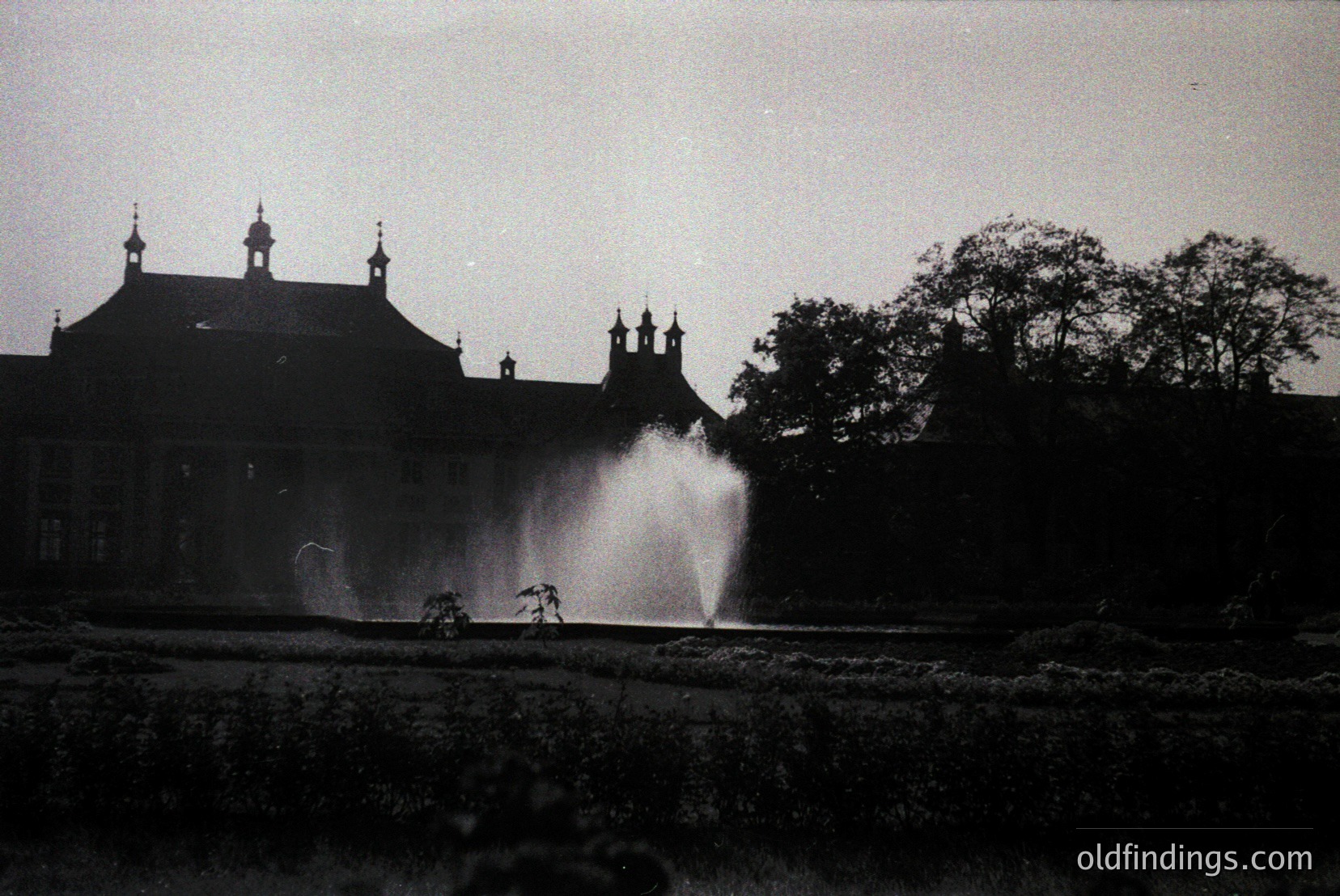 Vintage photograph