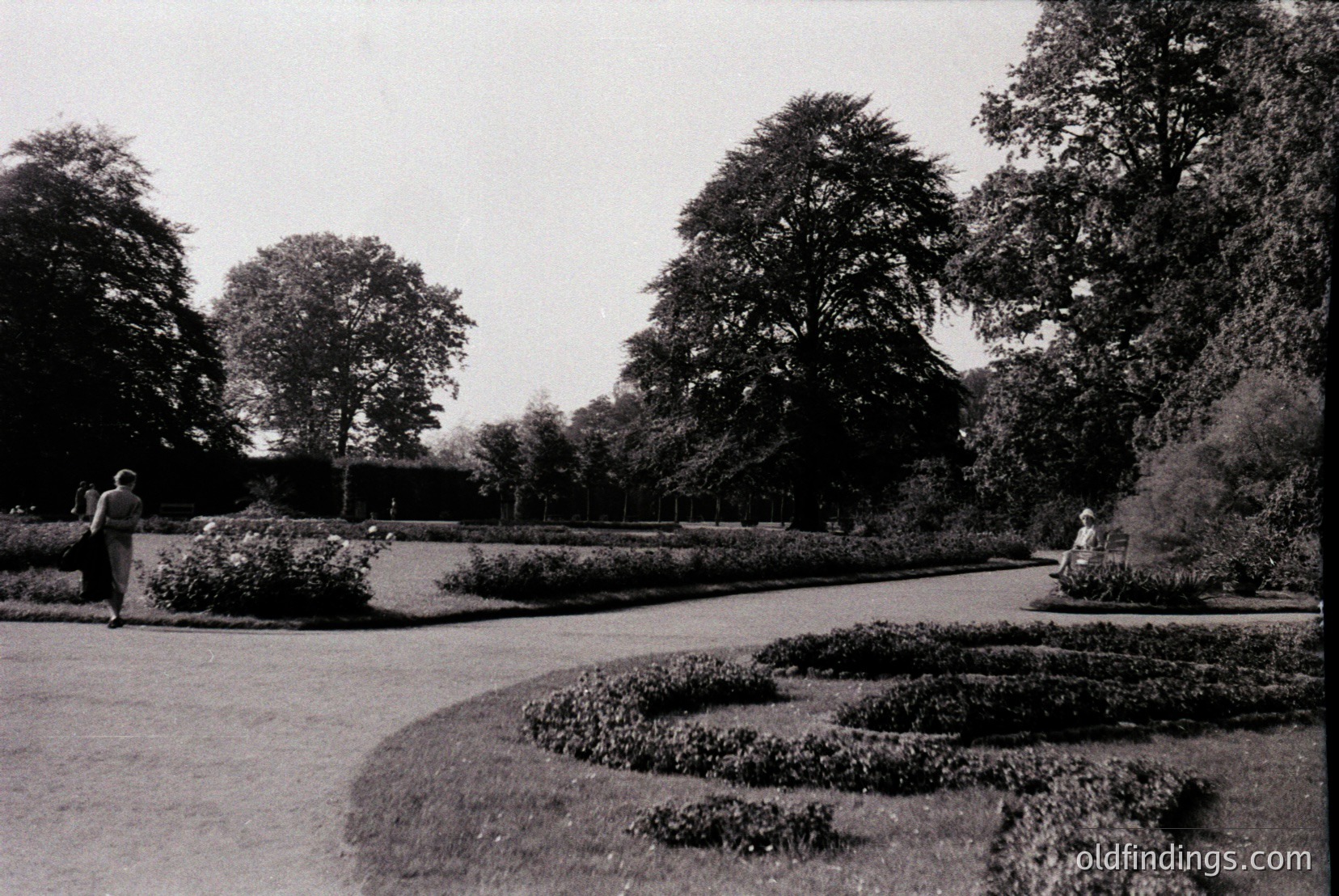Vintage photograph