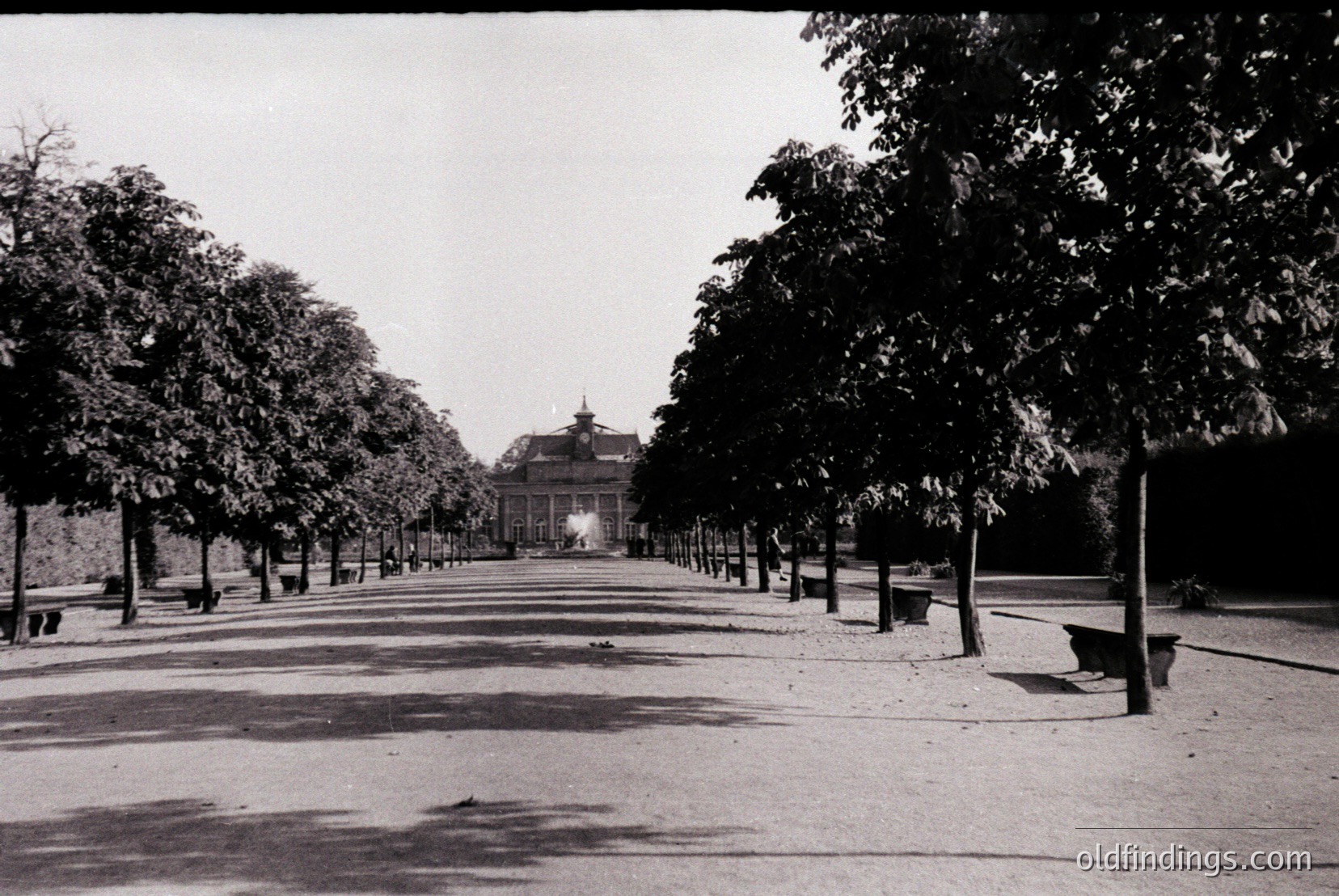 Vintage photograph