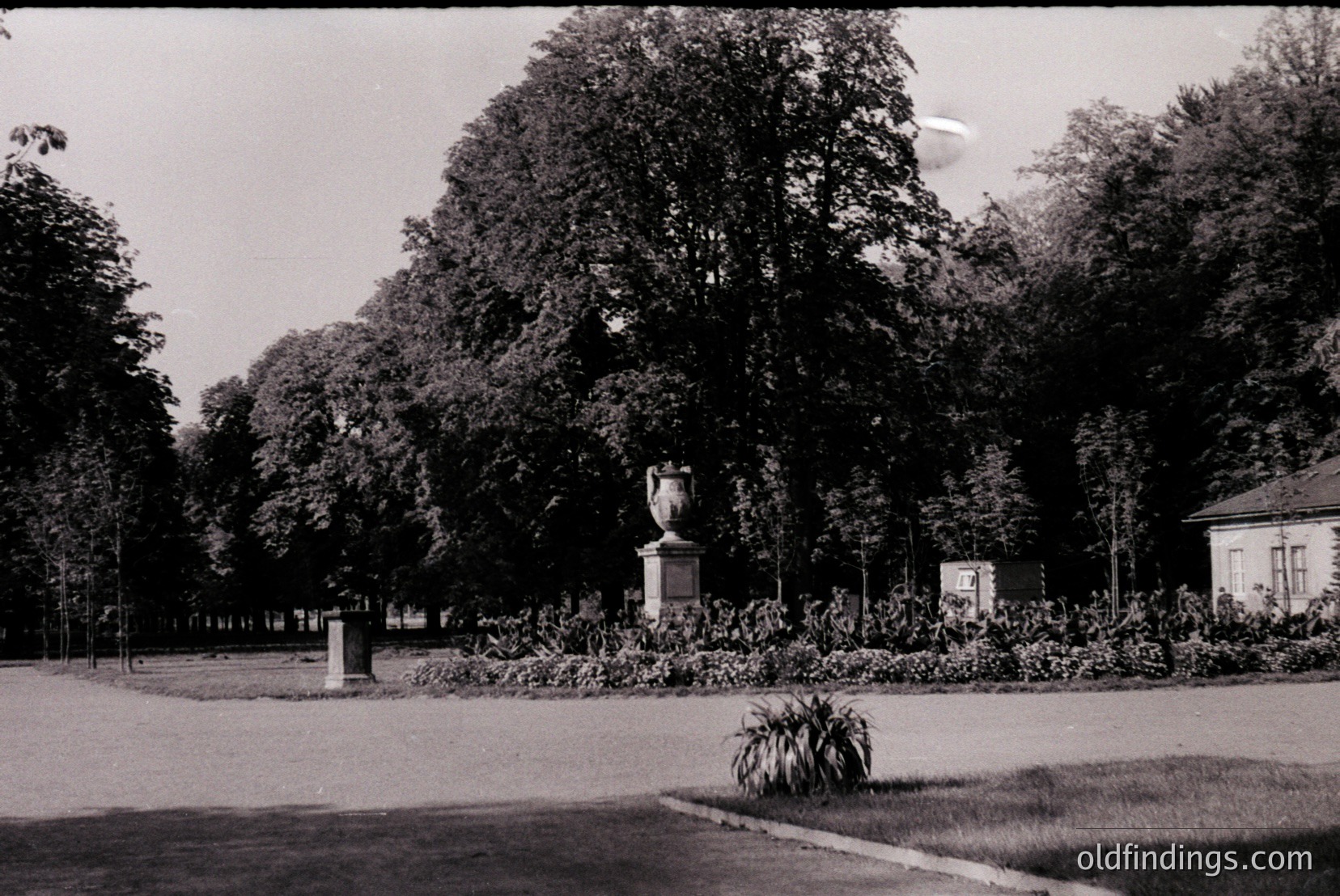 Vintage photograph