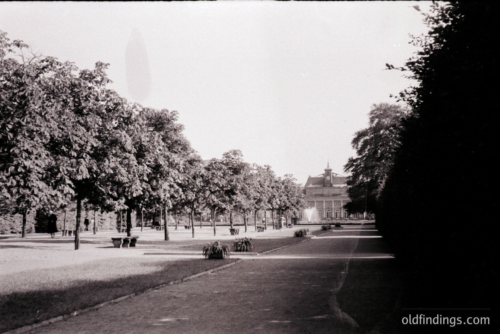 Vintage photograph