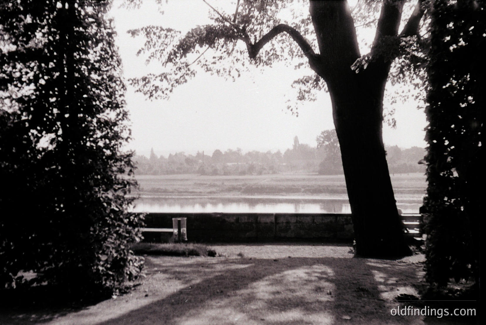 Vintage photograph