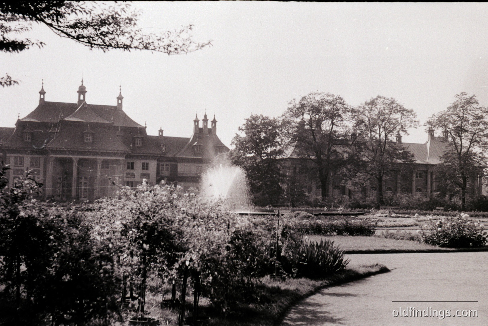 Vintage photograph