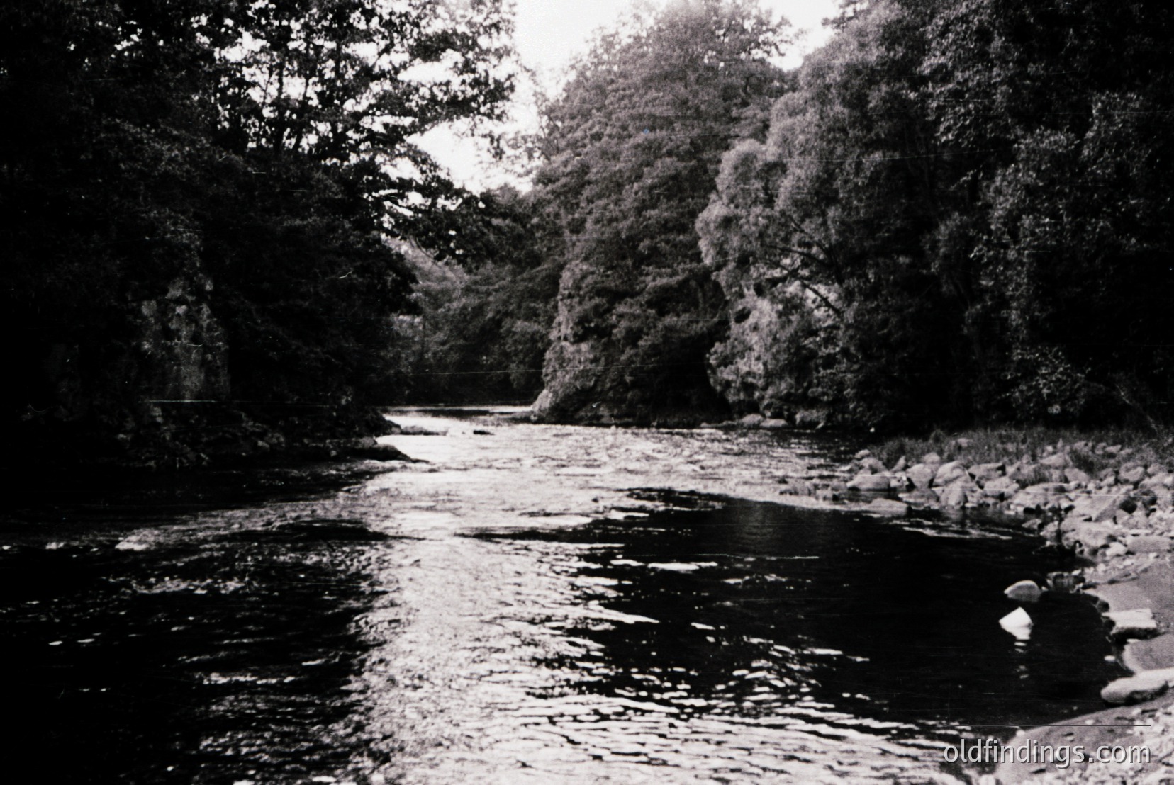 Vintage photograph