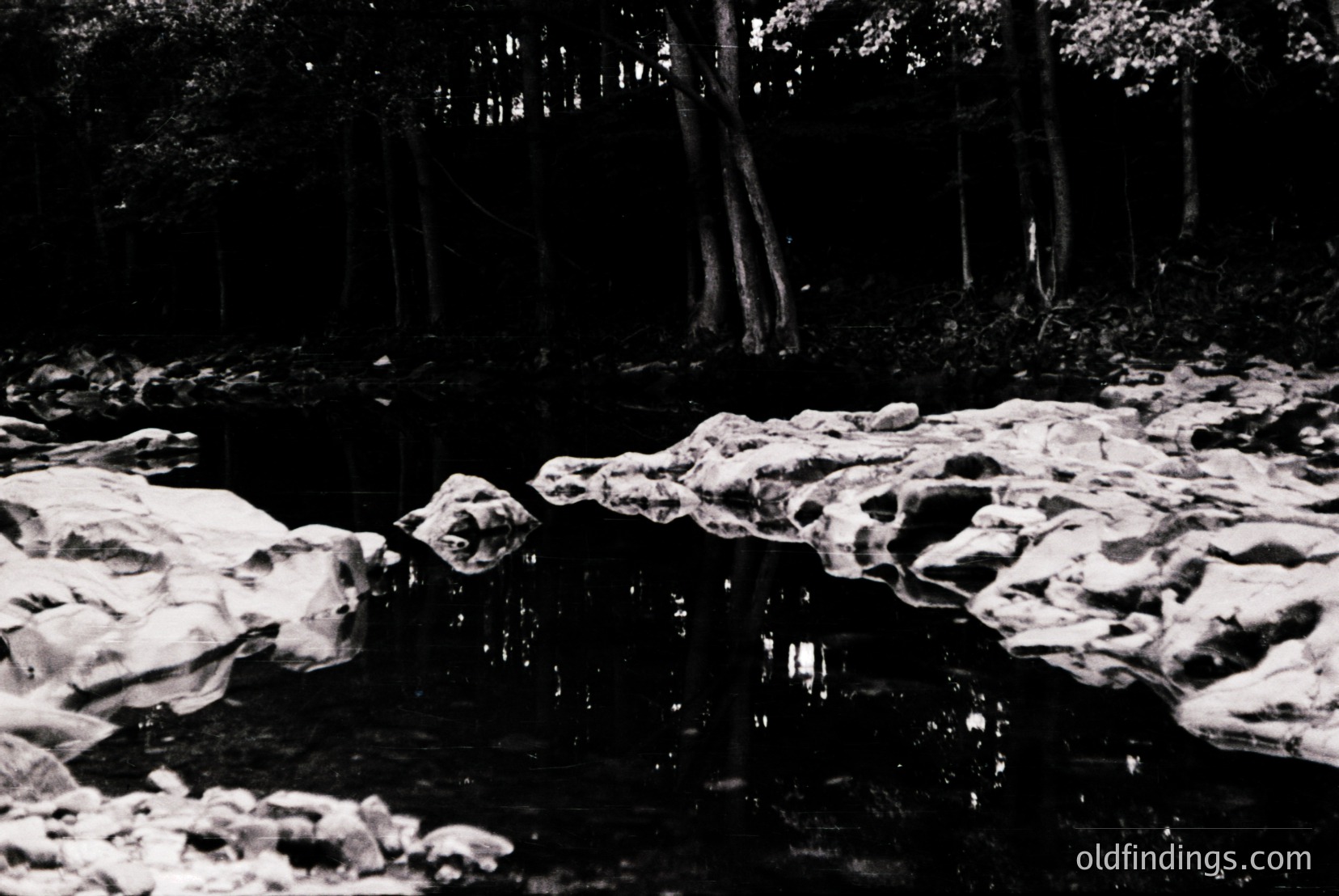 Vintage photograph