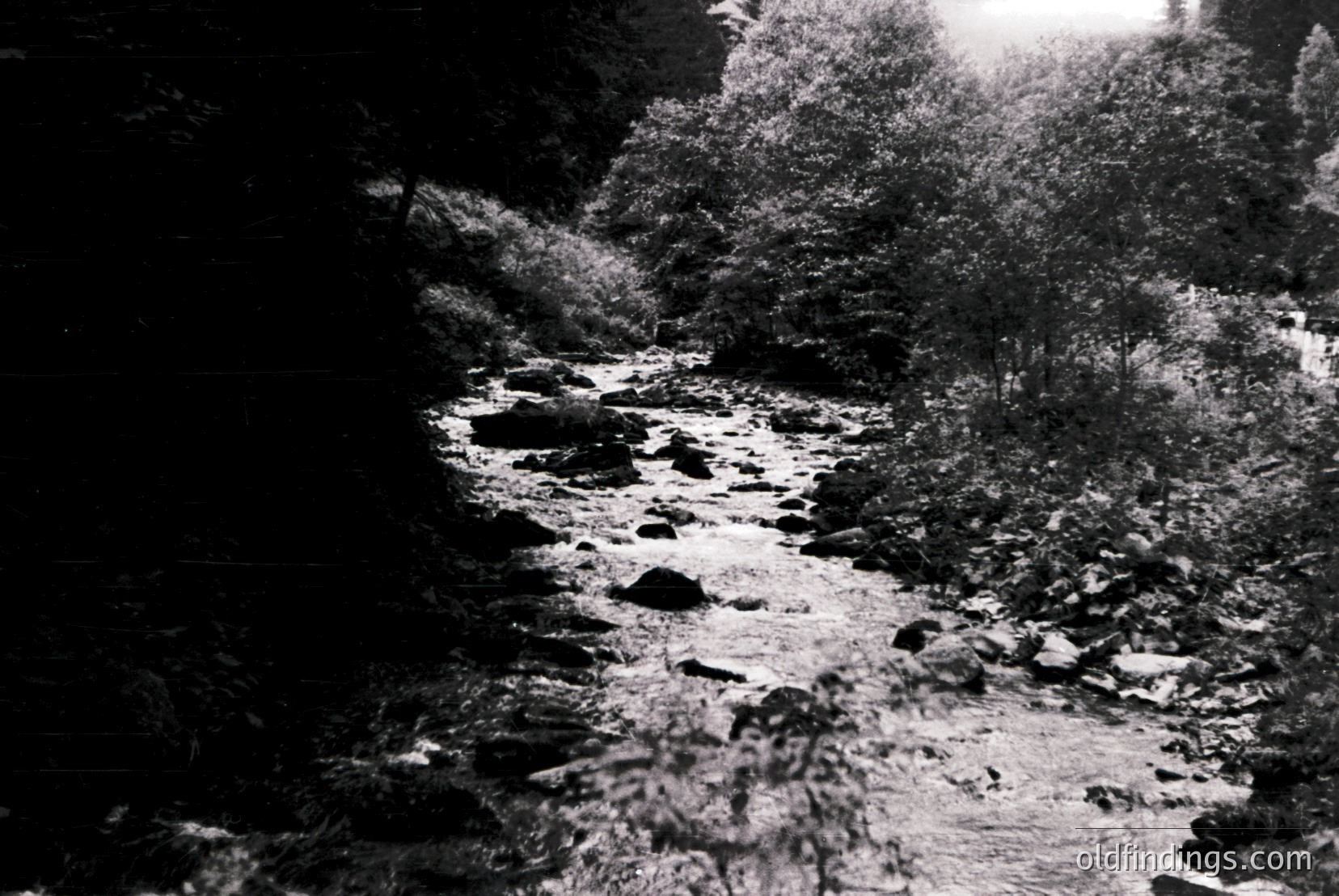 Vintage photograph
